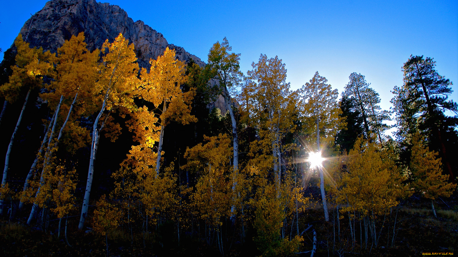 природа, пейзажи, простор