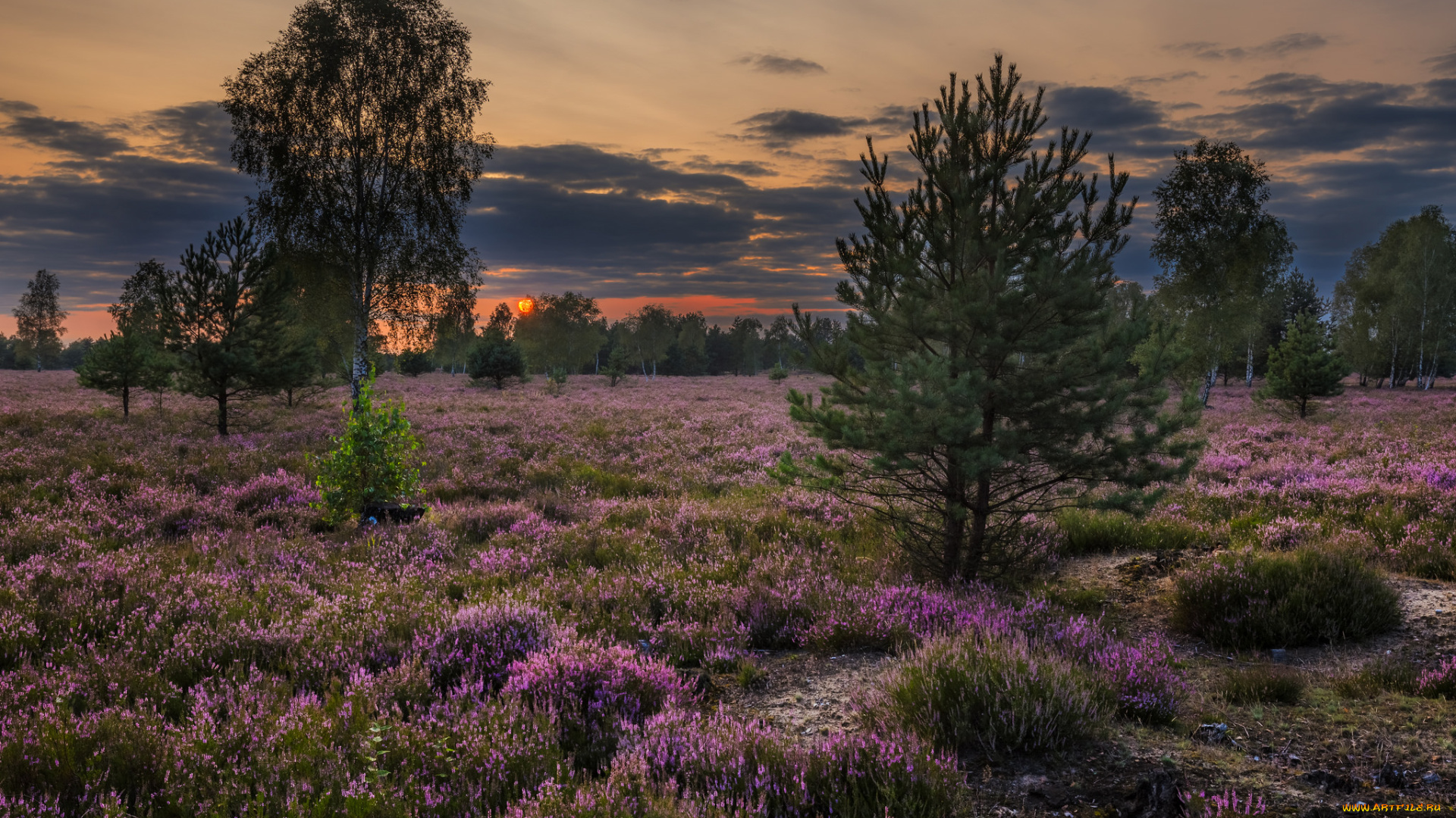природа, пейзажи, простор