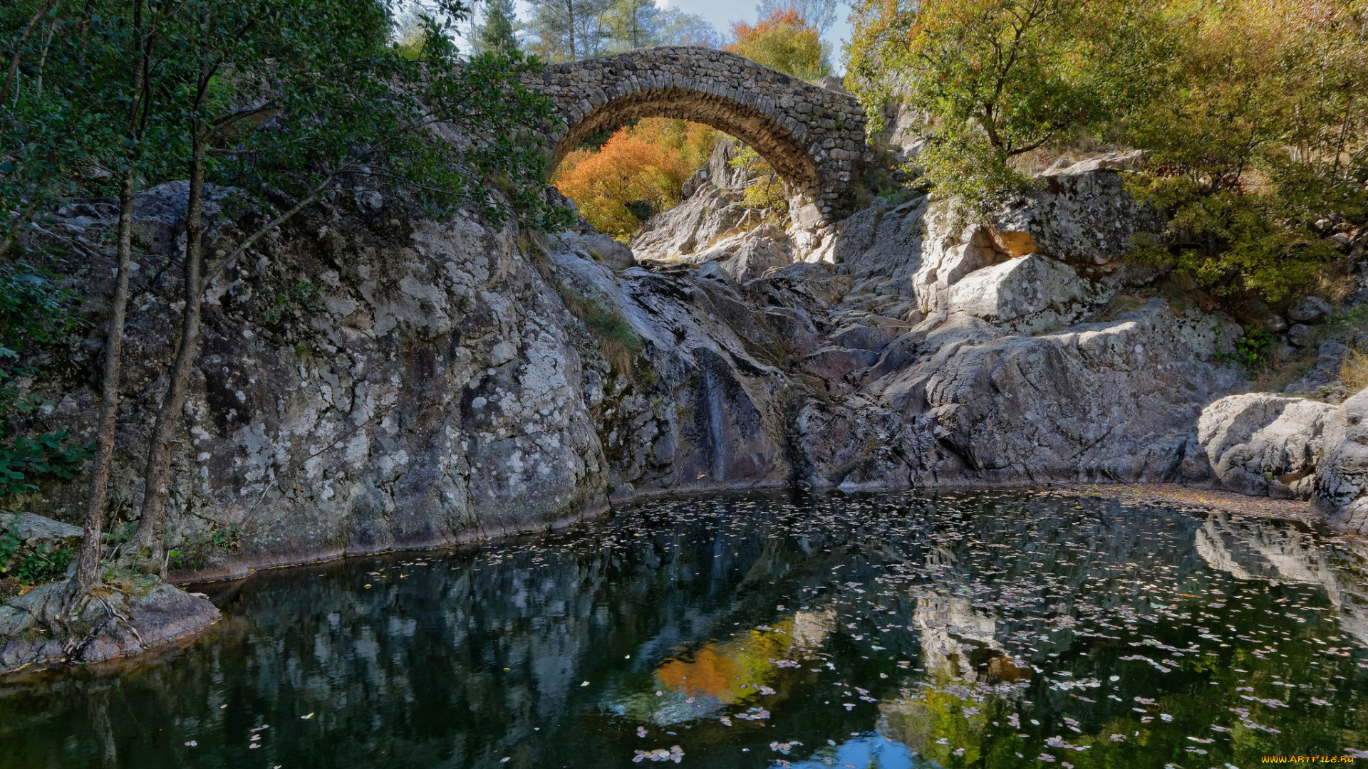 природа, реки, озера, простор