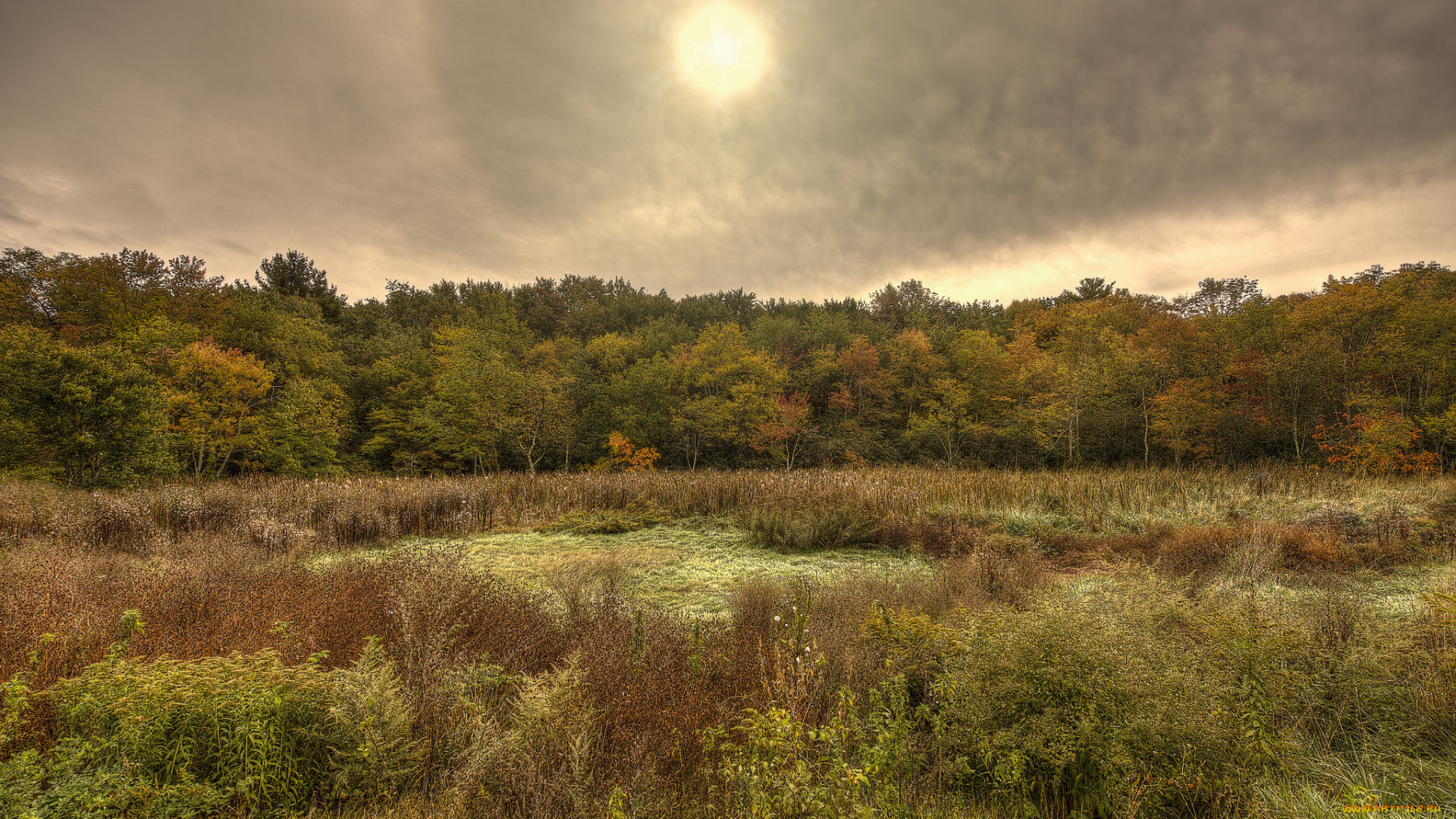 природа, реки, озера, простор