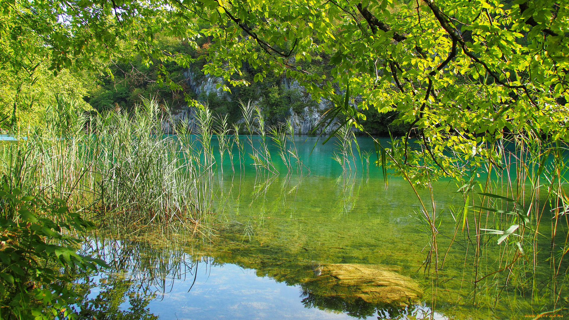 природа, реки, озера, простор