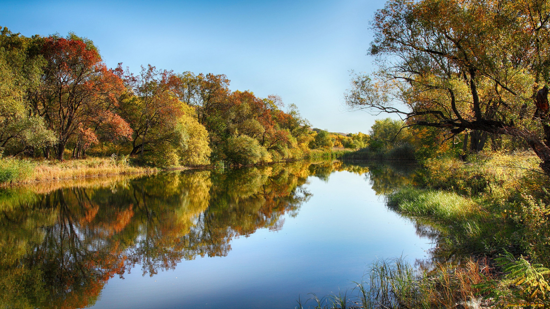 природа, реки, озера, простор