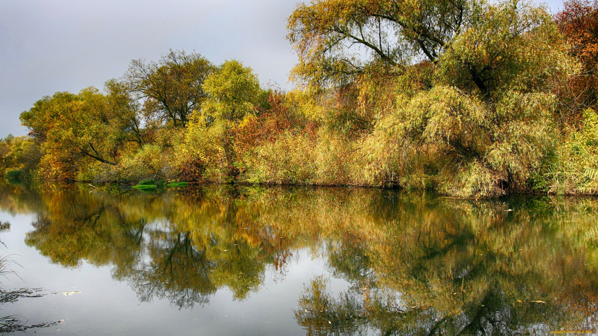 природа, реки, озера, простор