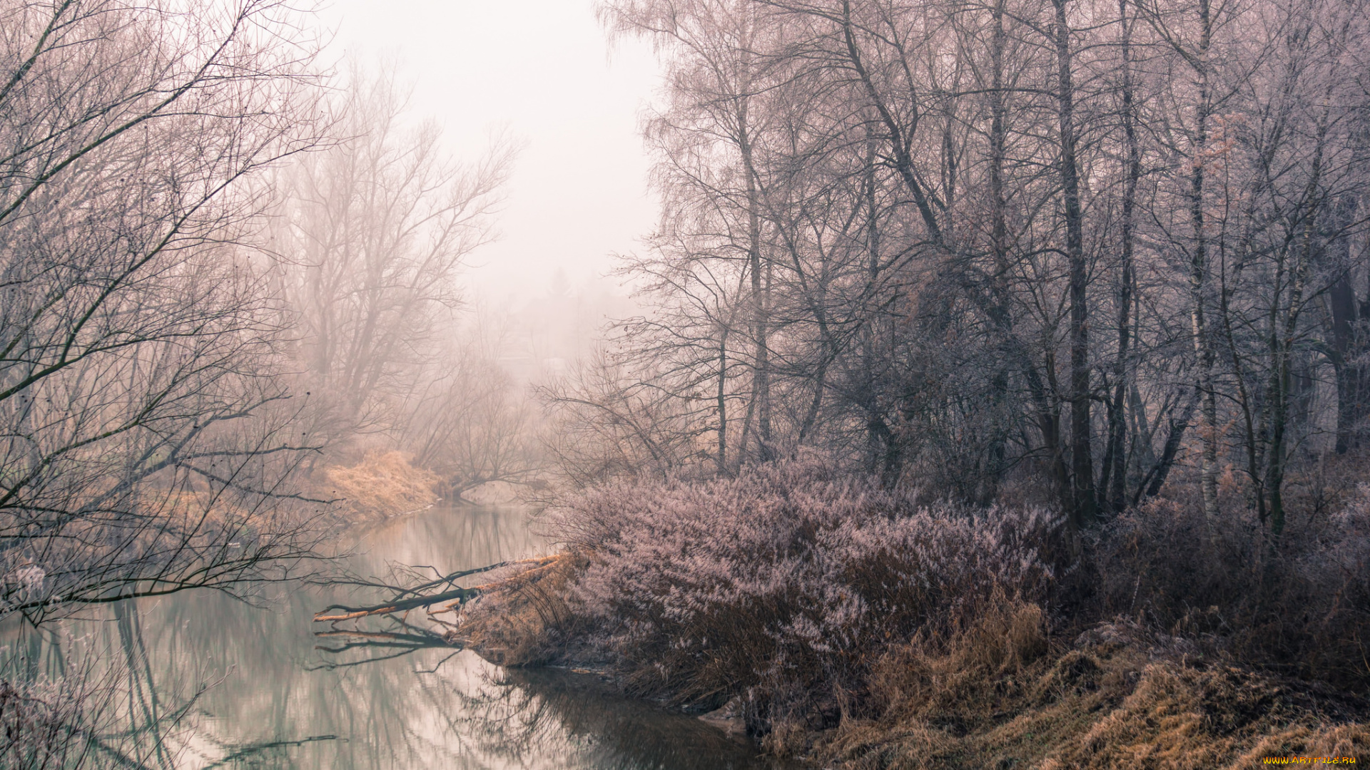 природа, реки, озера, простор