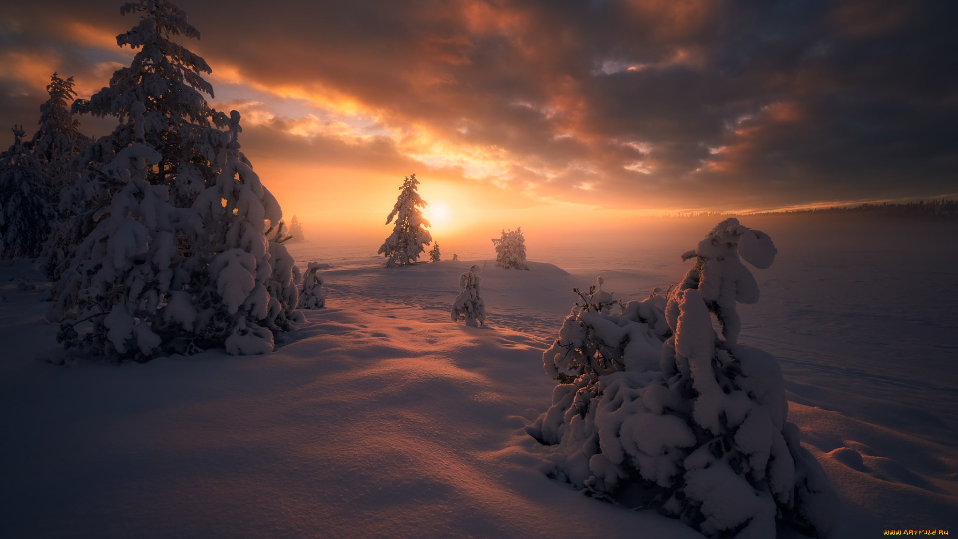 природа, восходы, закаты, зима, норвегия, закат, ringerike, ели, деревья, norway, рингерике, сугробы, снег