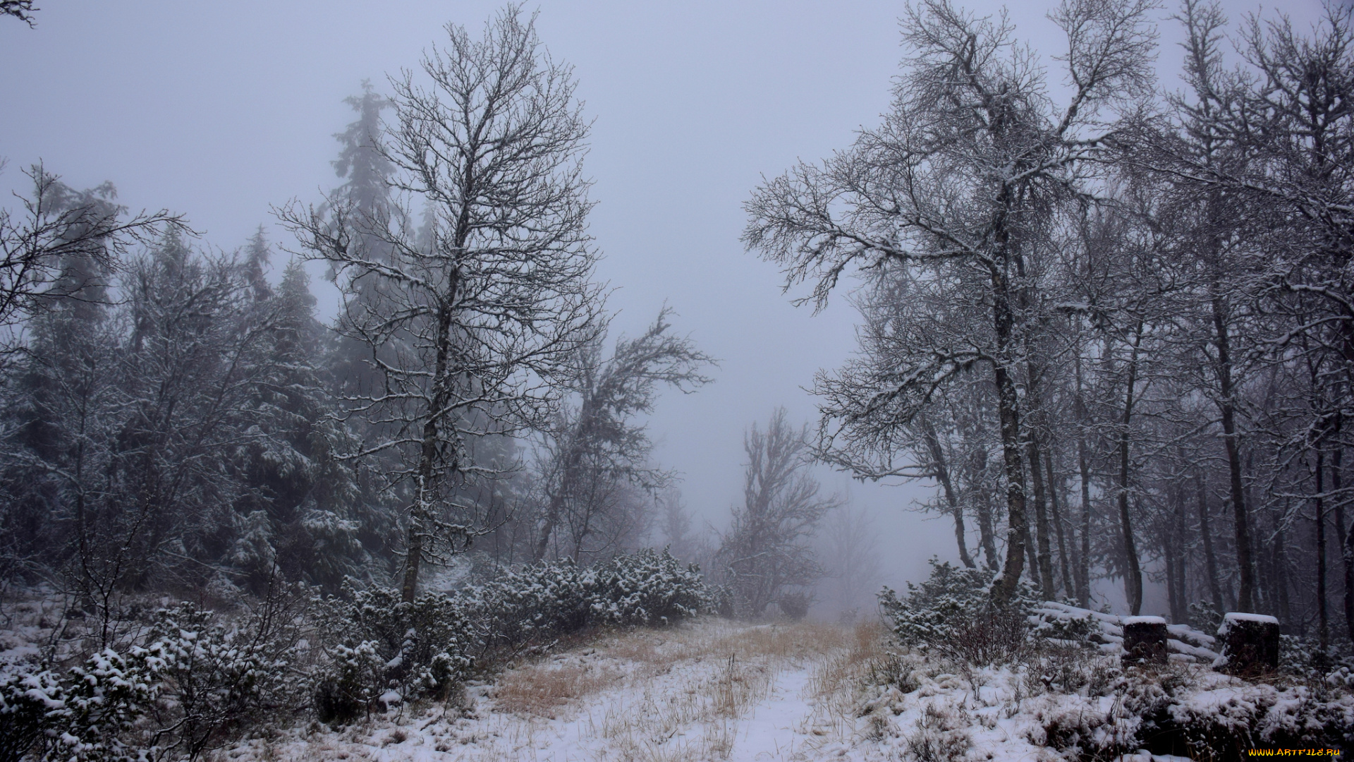 природа, зима, простор