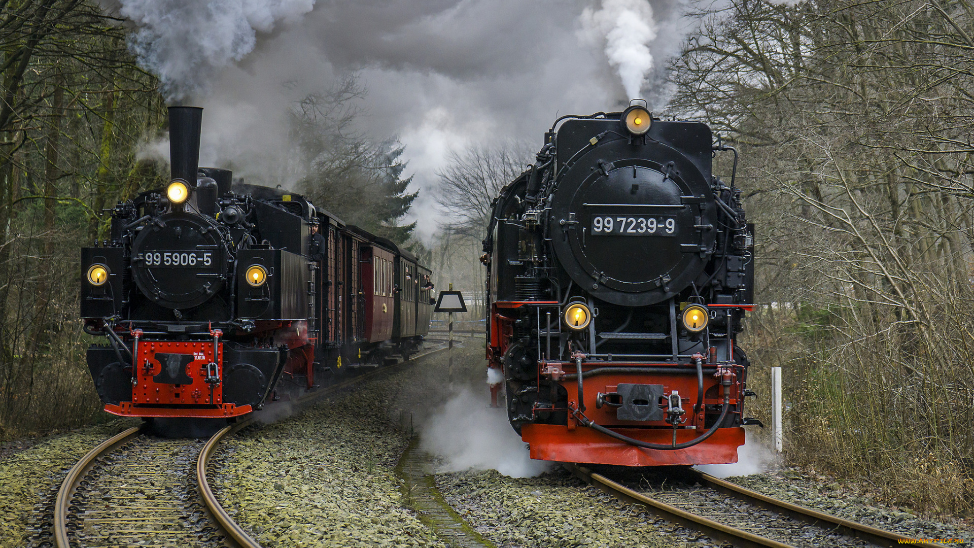 техника, паровозы, локомотив, состав