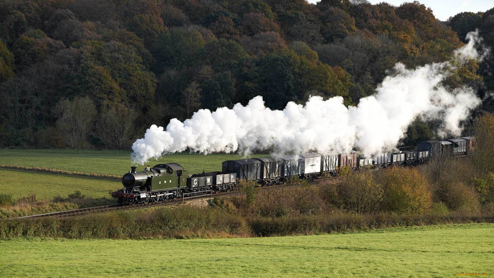 техника, поезда, природа, дым, паровоз, вагоны, поезд