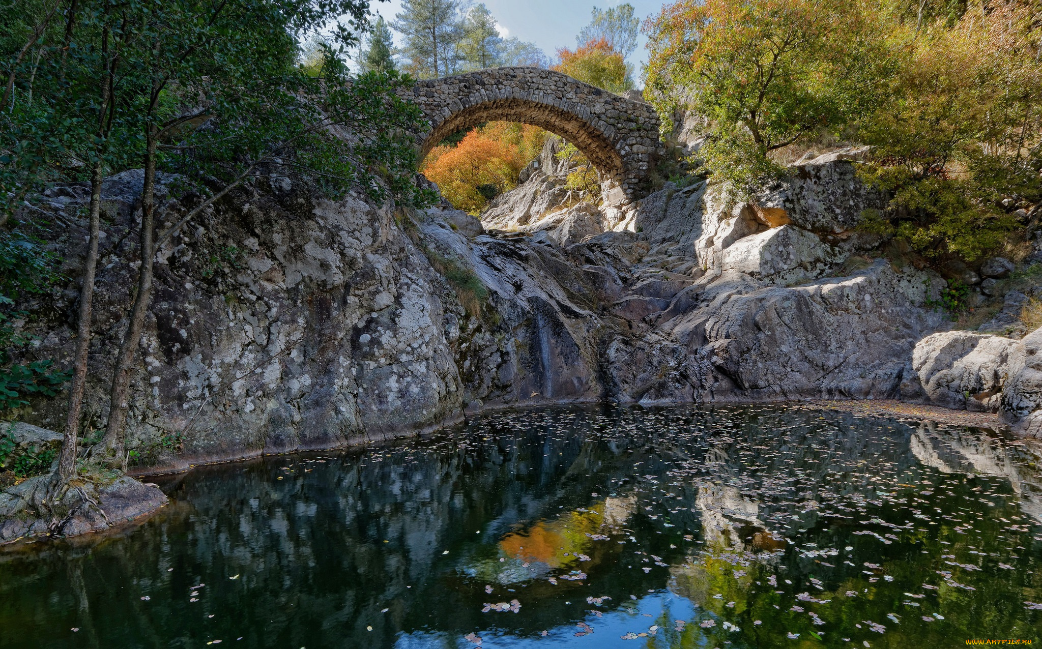 природа, реки, озера, простор