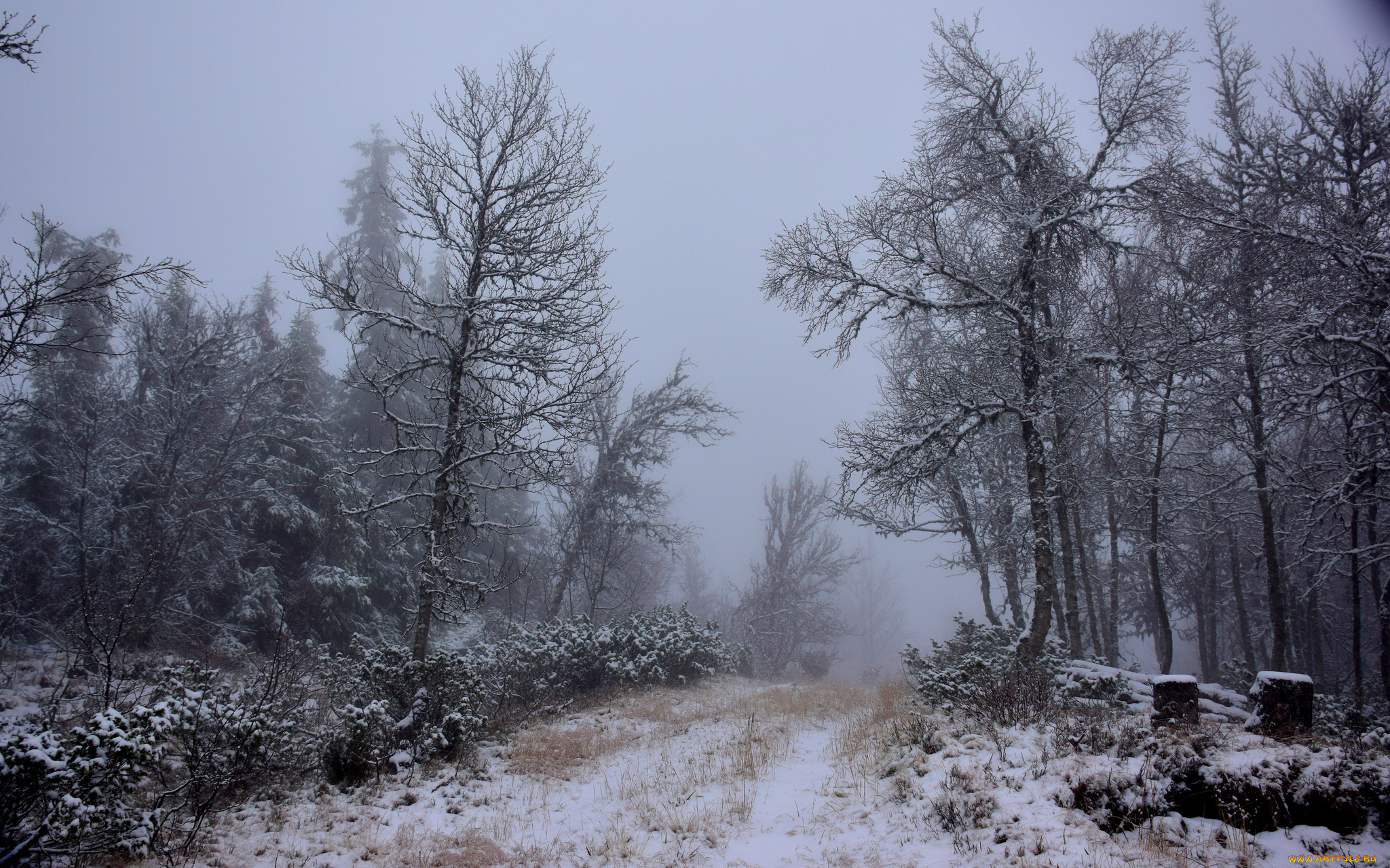 природа, зима, простор