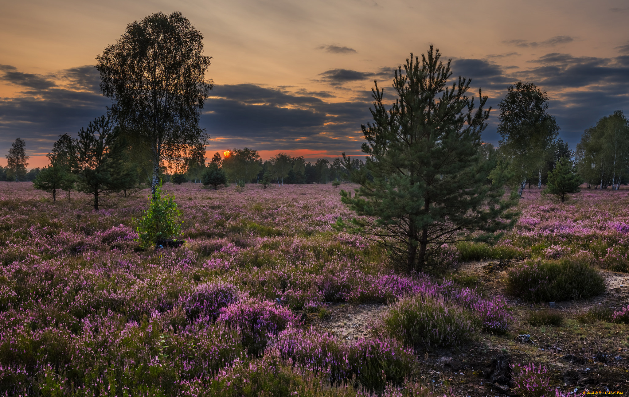 природа, пейзажи, простор