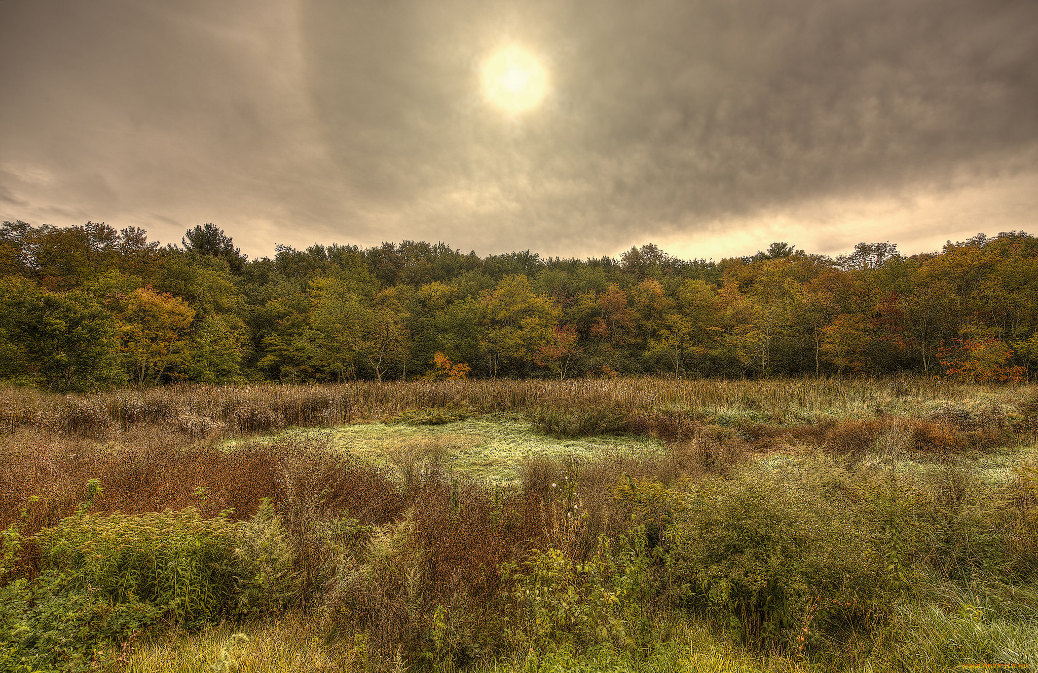 природа, реки, озера, простор