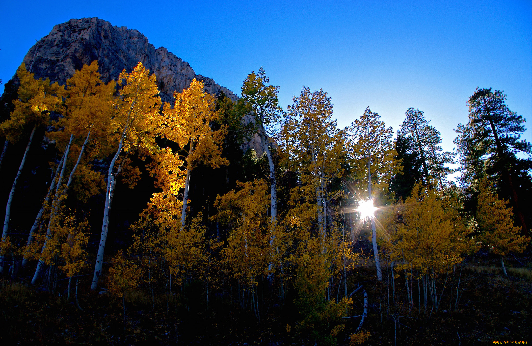природа, пейзажи, простор