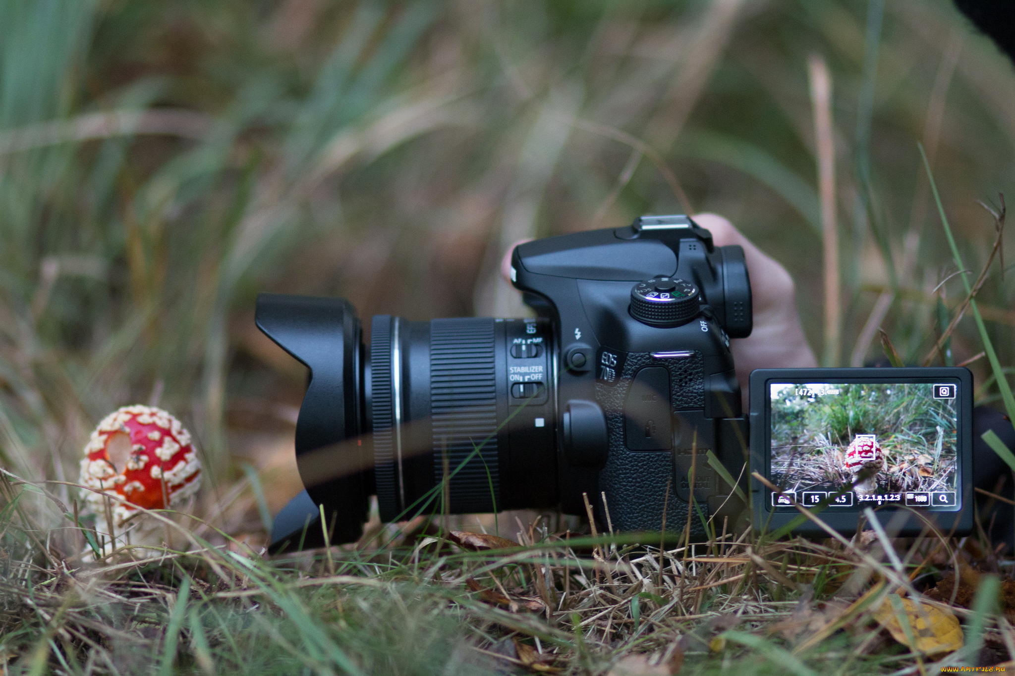 бренды, cancun, фотокамера