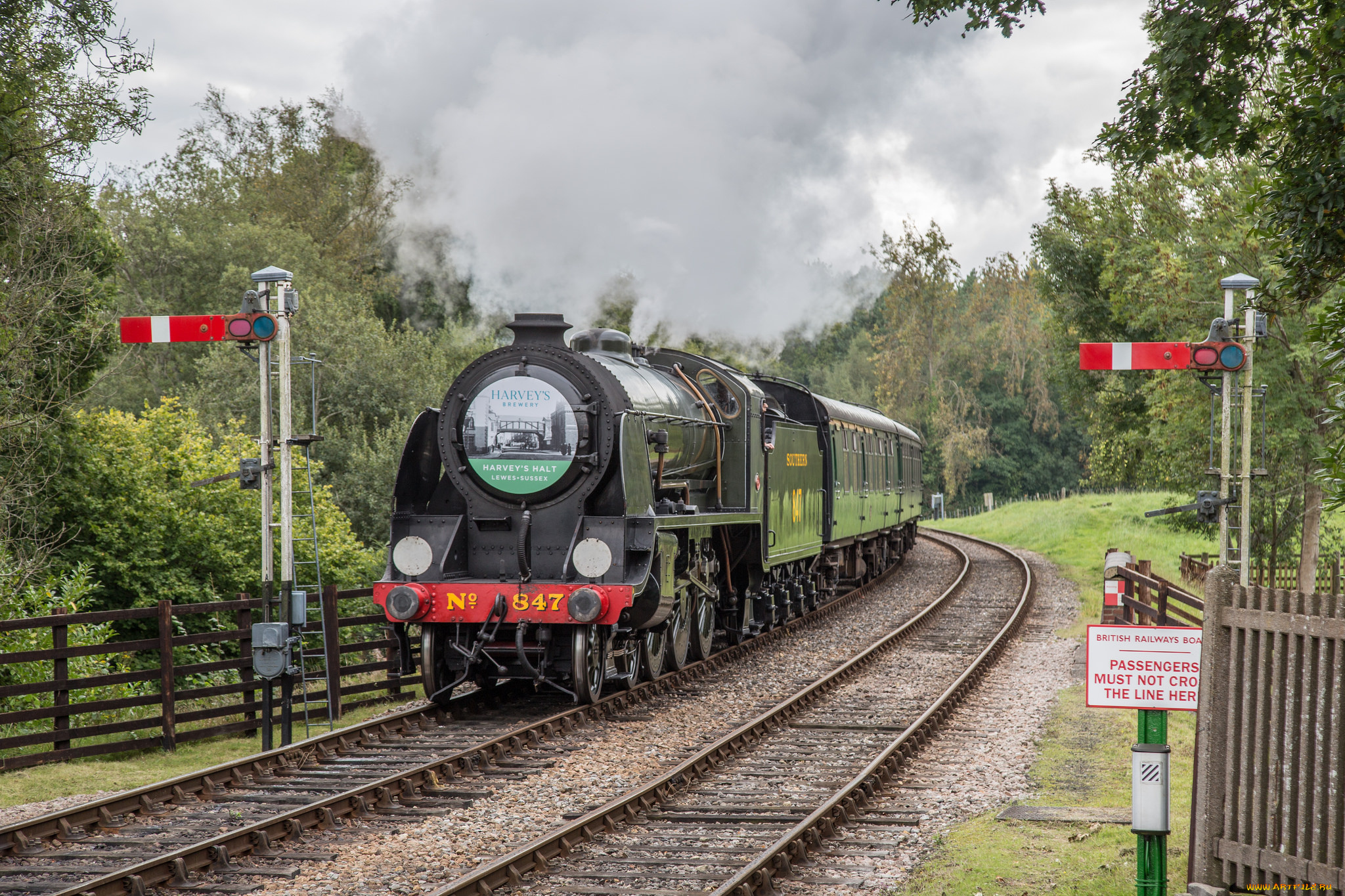 техника, паровозы, локомотив, состав