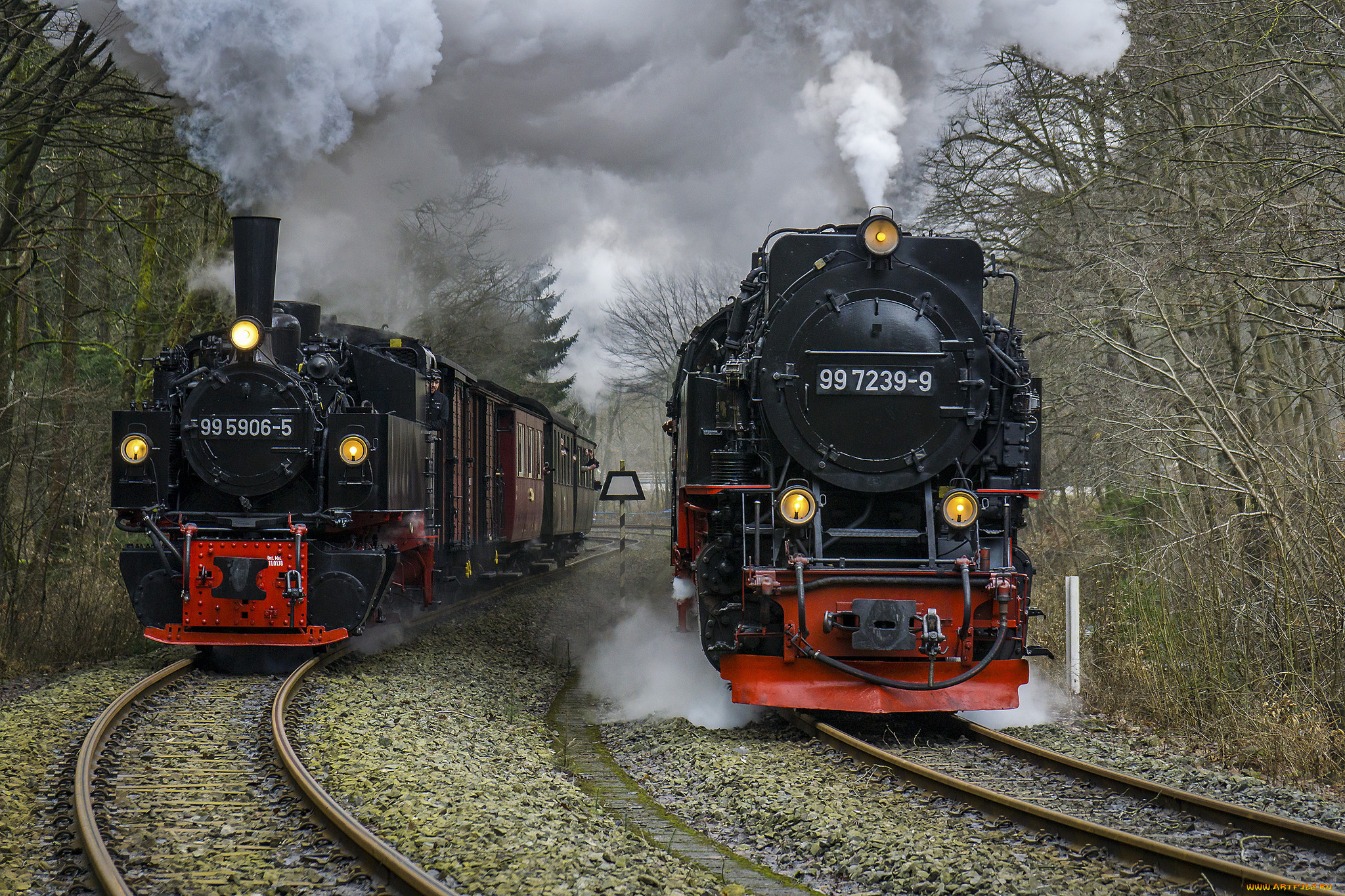 техника, паровозы, локомотив, состав