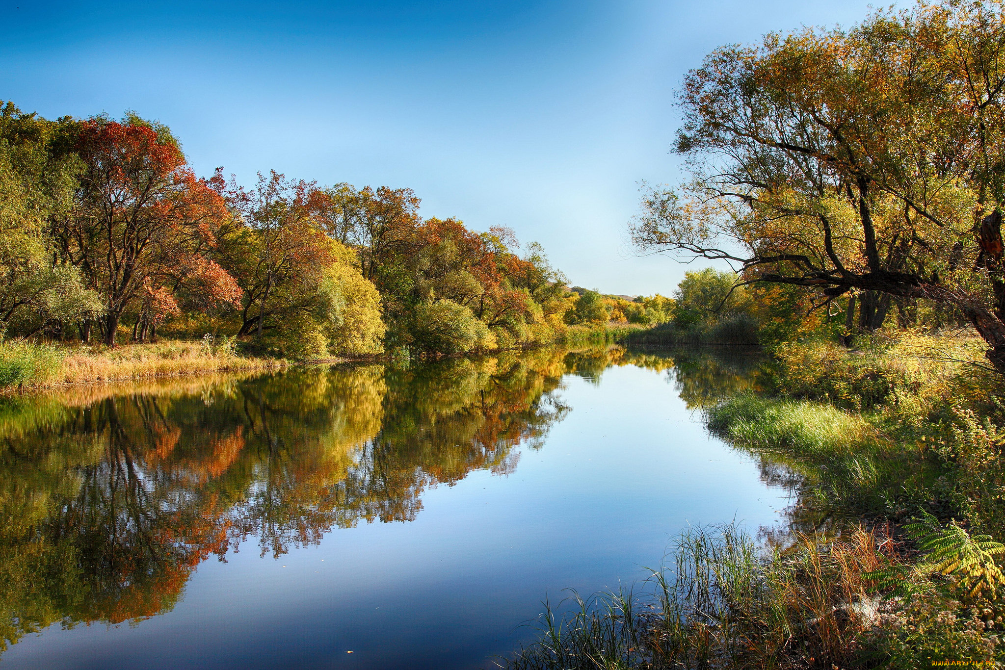 природа, реки, озера, простор