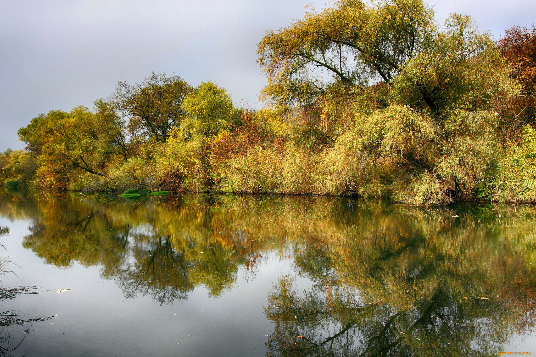 природа, реки, озера, простор