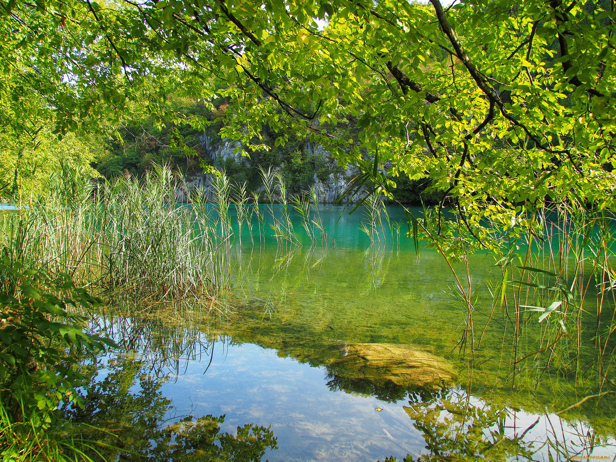 природа, реки, озера, простор