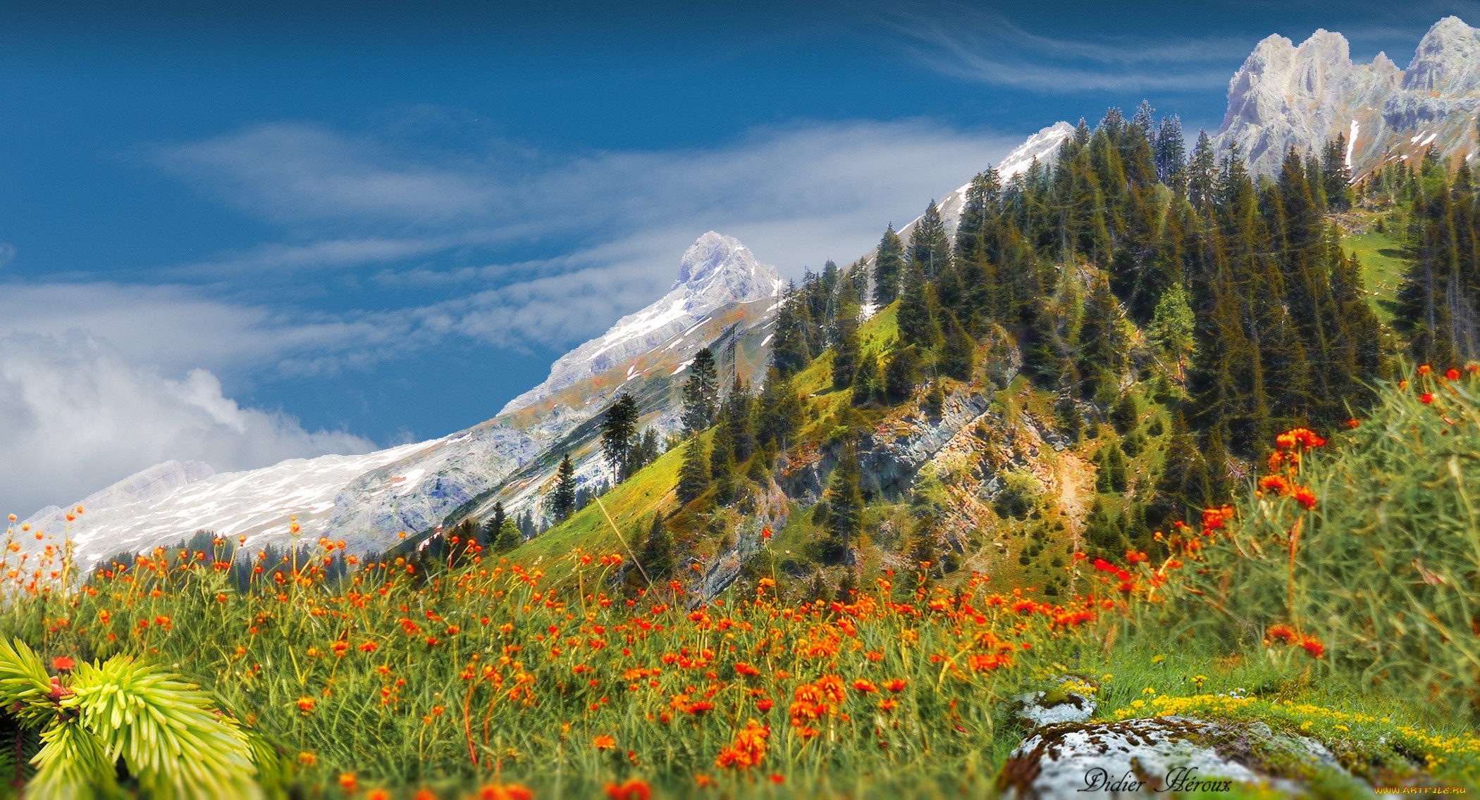 природа, луга, простор