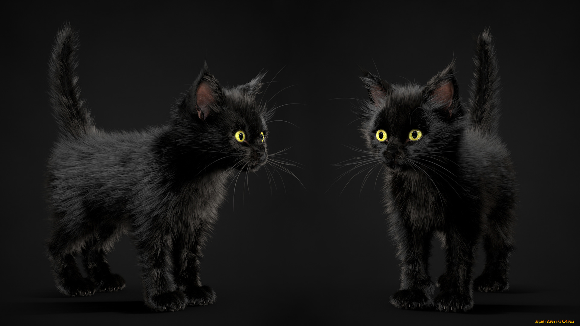3д, графика, животные, , animals, черный, фон, котенок