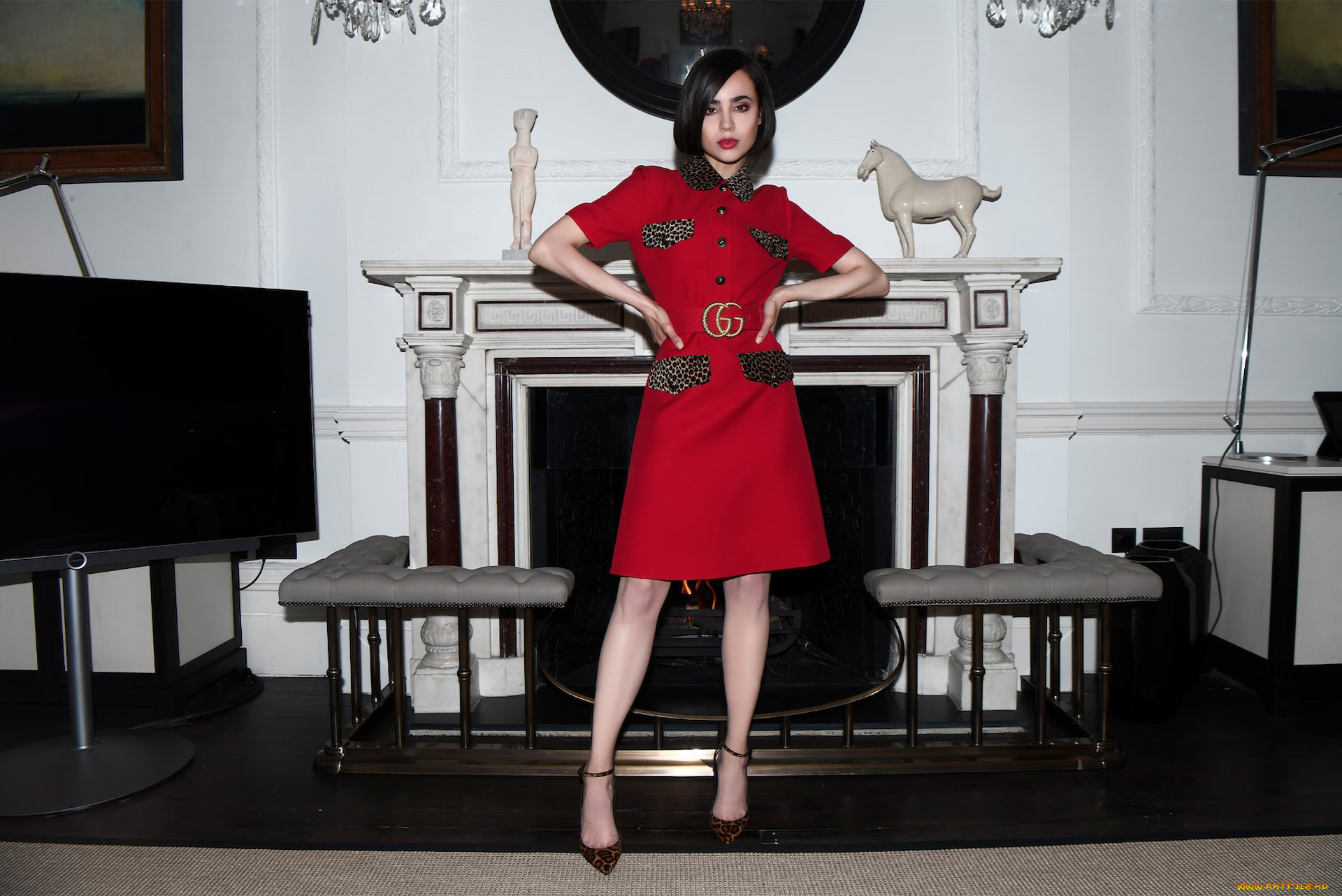 sofia, carson, девушки, софия, карсон, американская, актриса, певица, cофия, даккаретт, чар