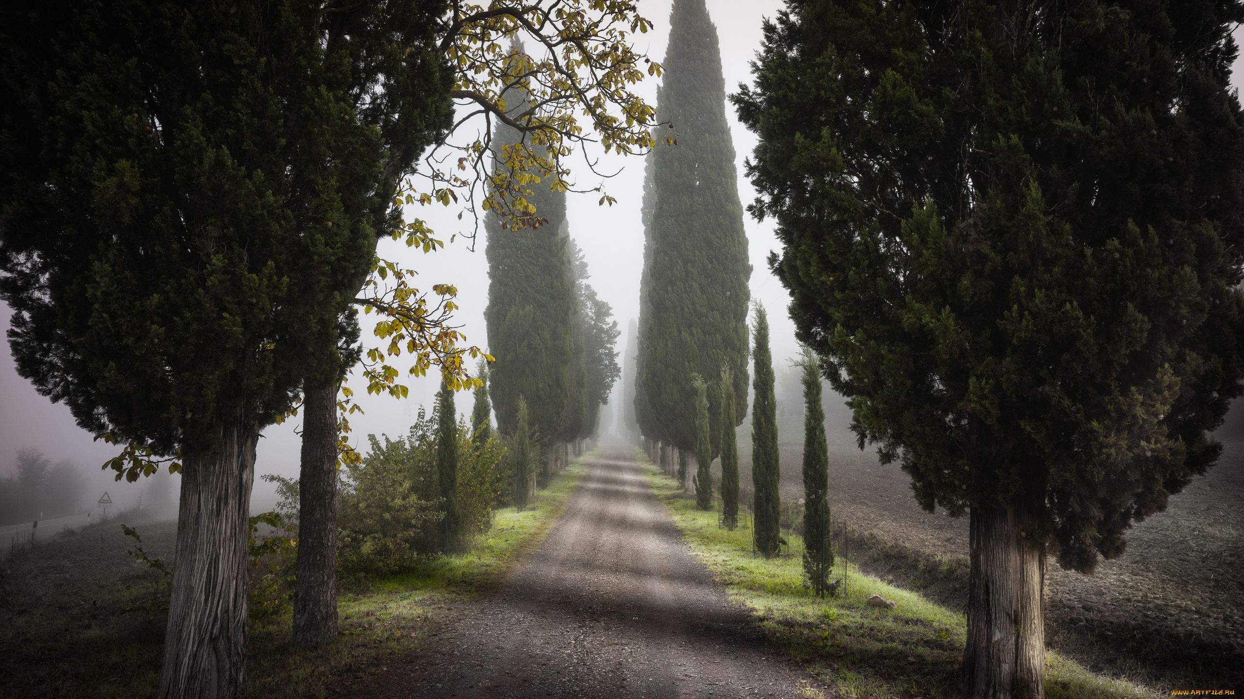 природа, дороги, тоскана