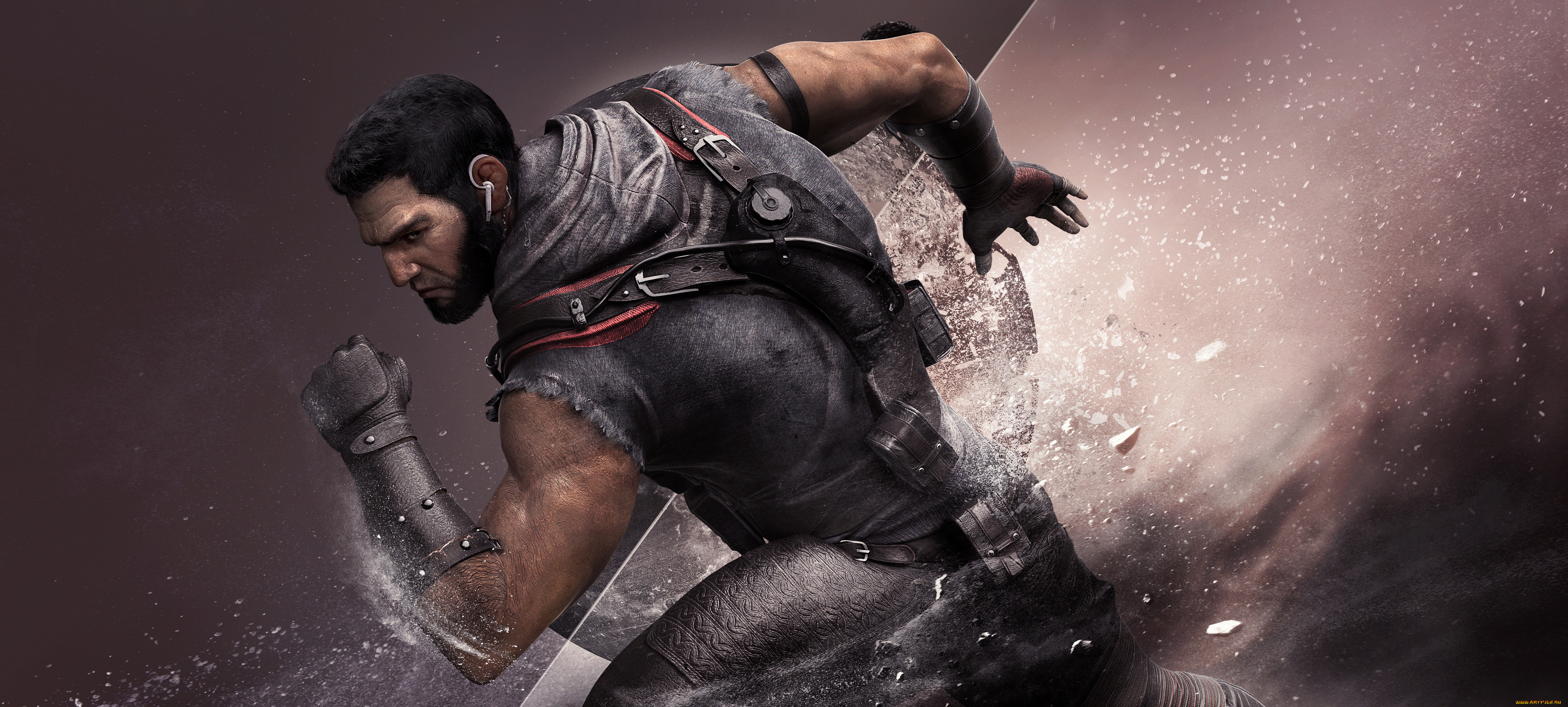 видео, игры, tom, clancy`s, rainbow, six, , siege, tom, clancys, rainbow, six, siege