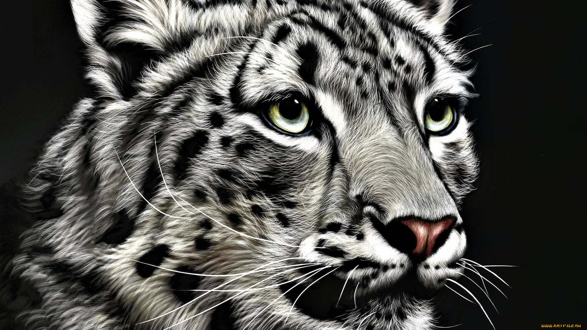 рисованное, животные, , барсы, барс, ирбис, голова