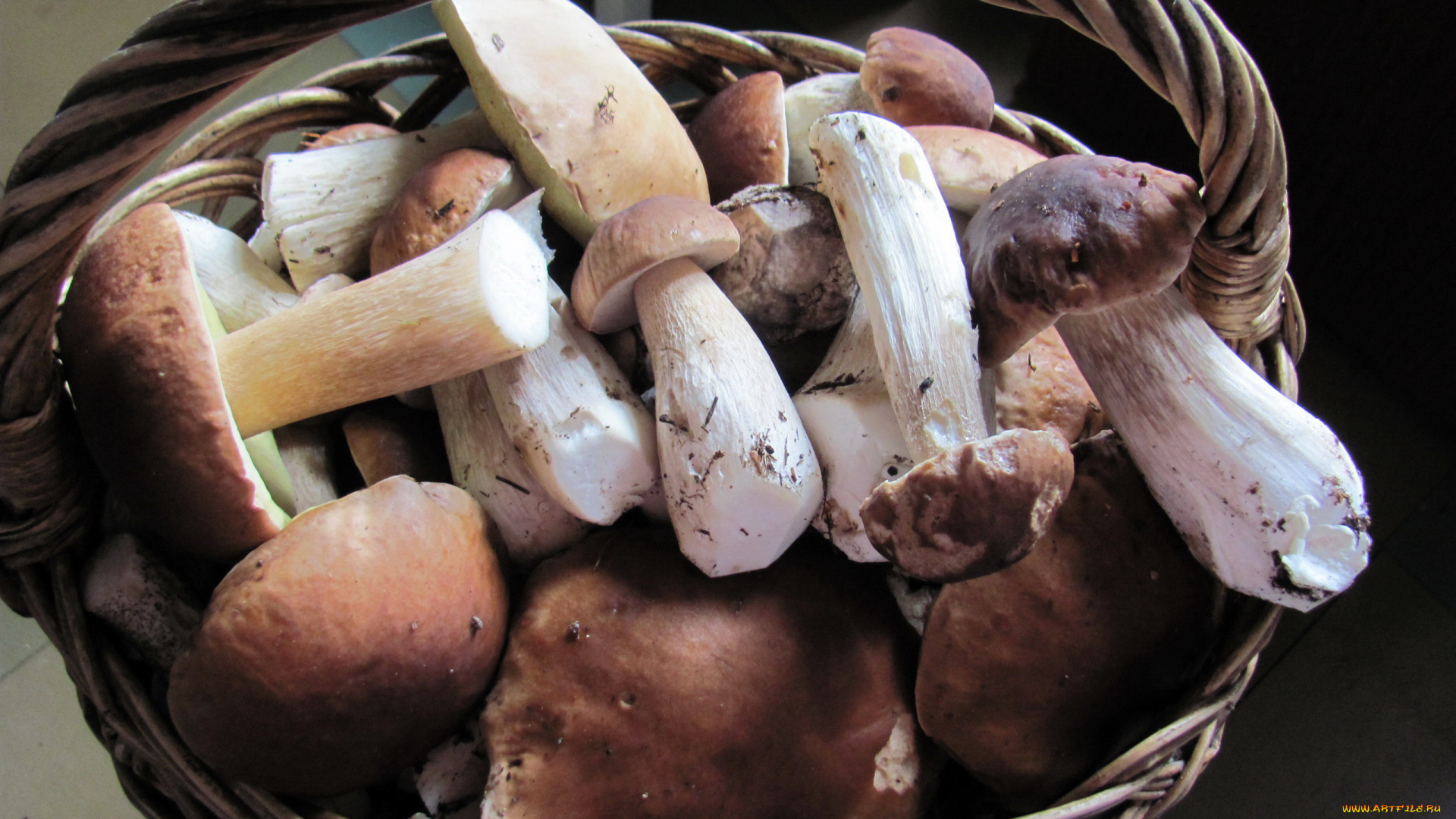 еда, грибы, , грибные, блюда, боровики