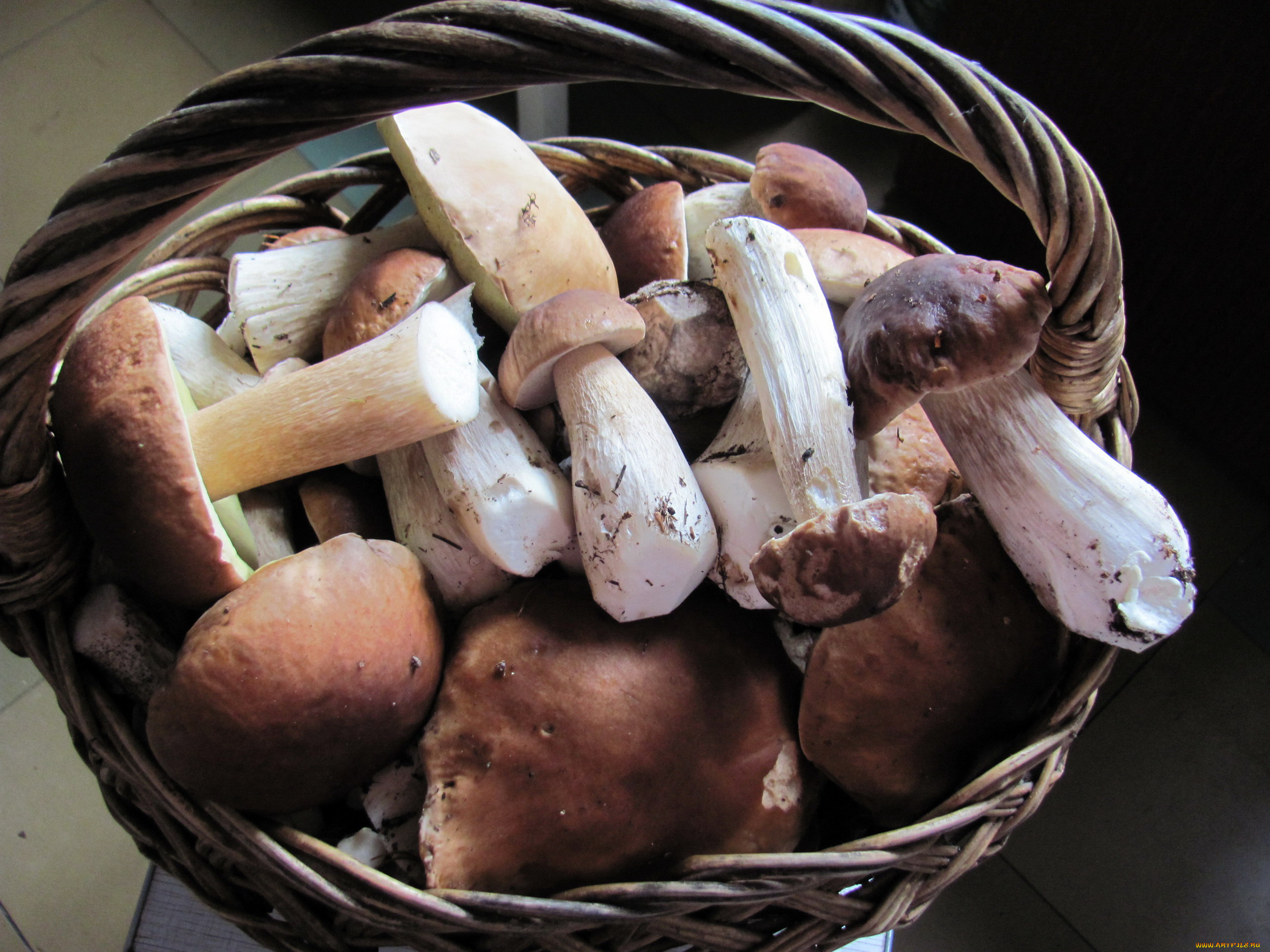 еда, грибы, , грибные, блюда, боровики