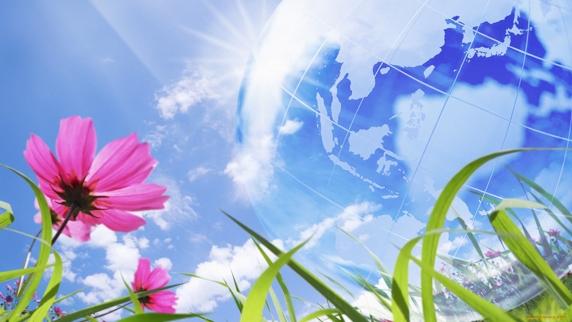 векторная, графика