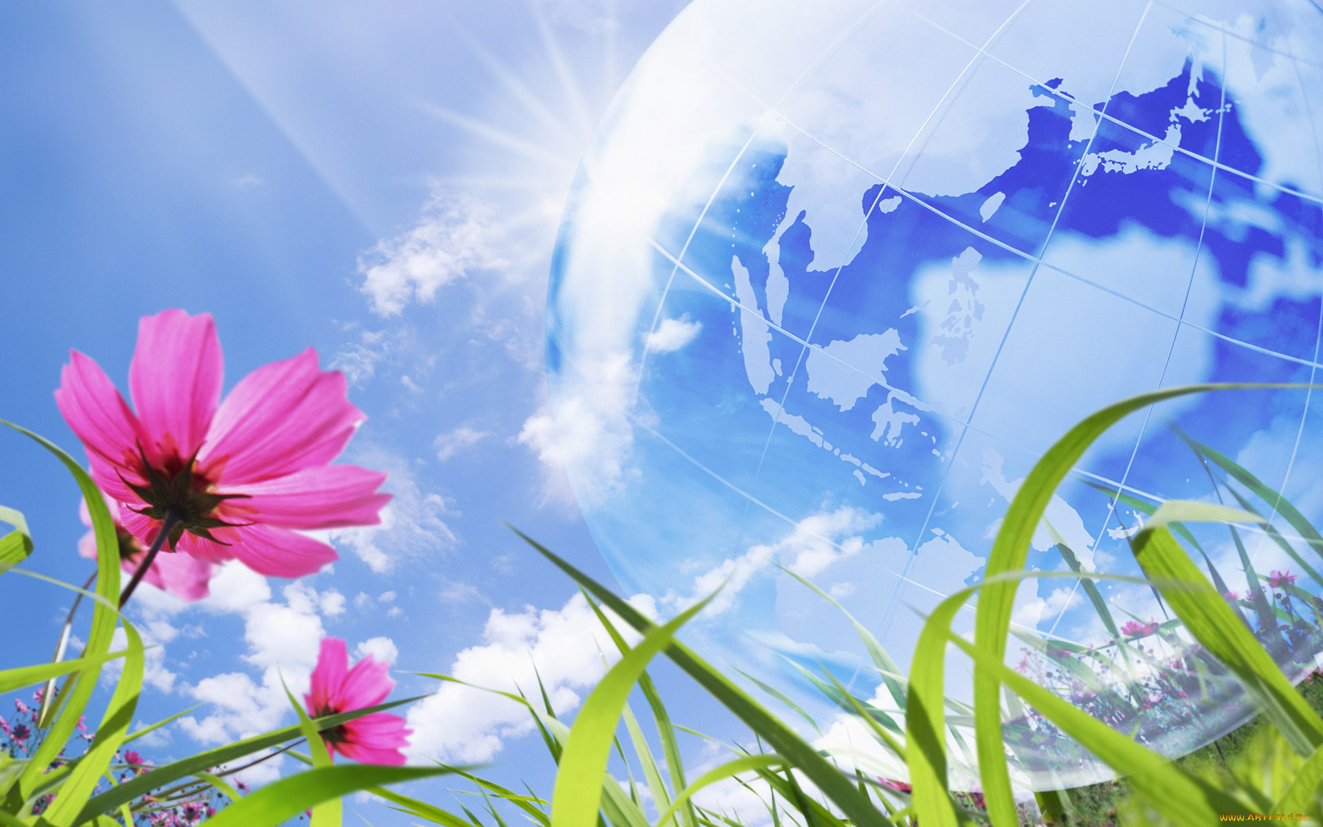 векторная, графика