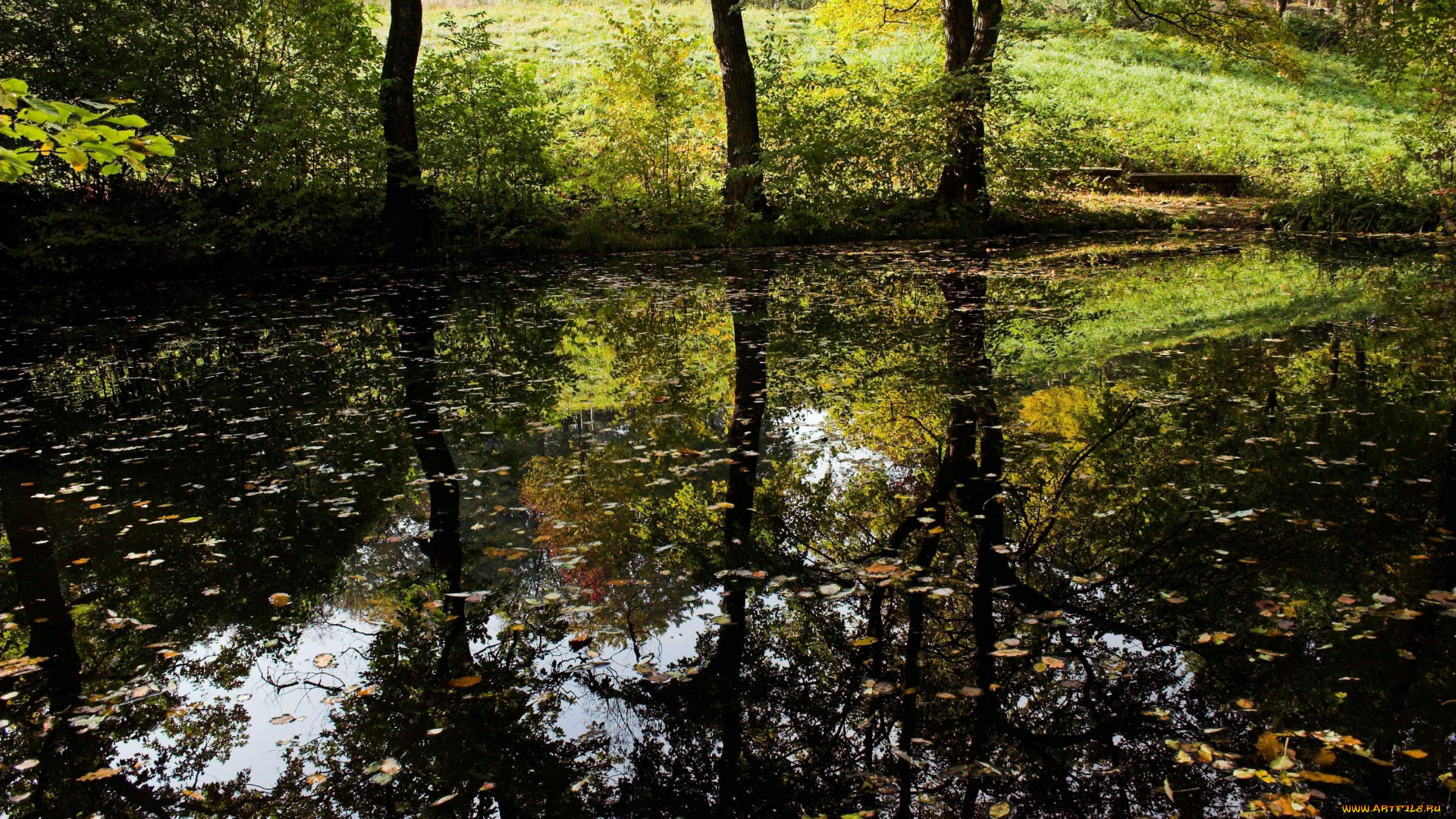 природа, реки, озера