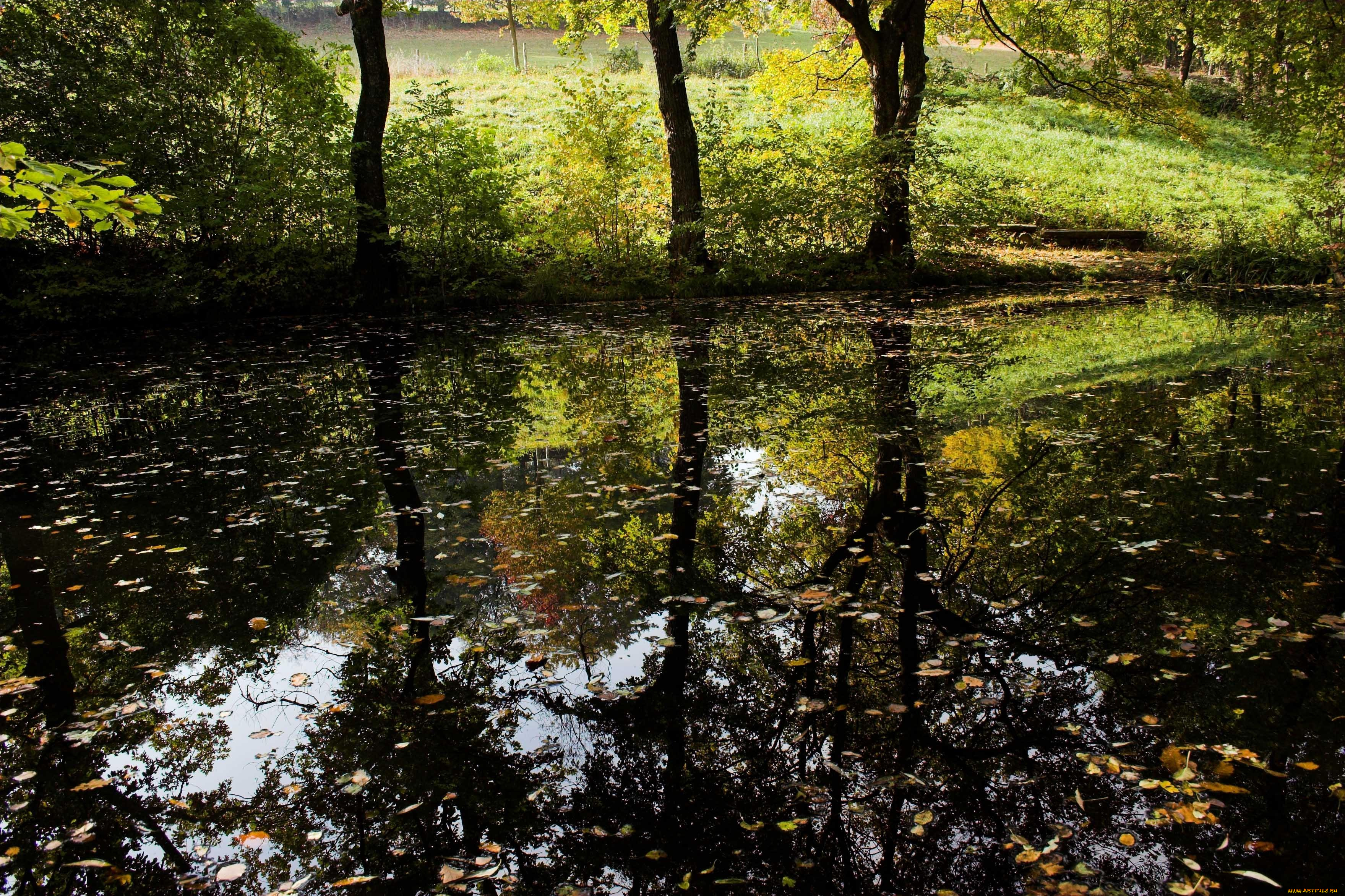 природа, реки, озера