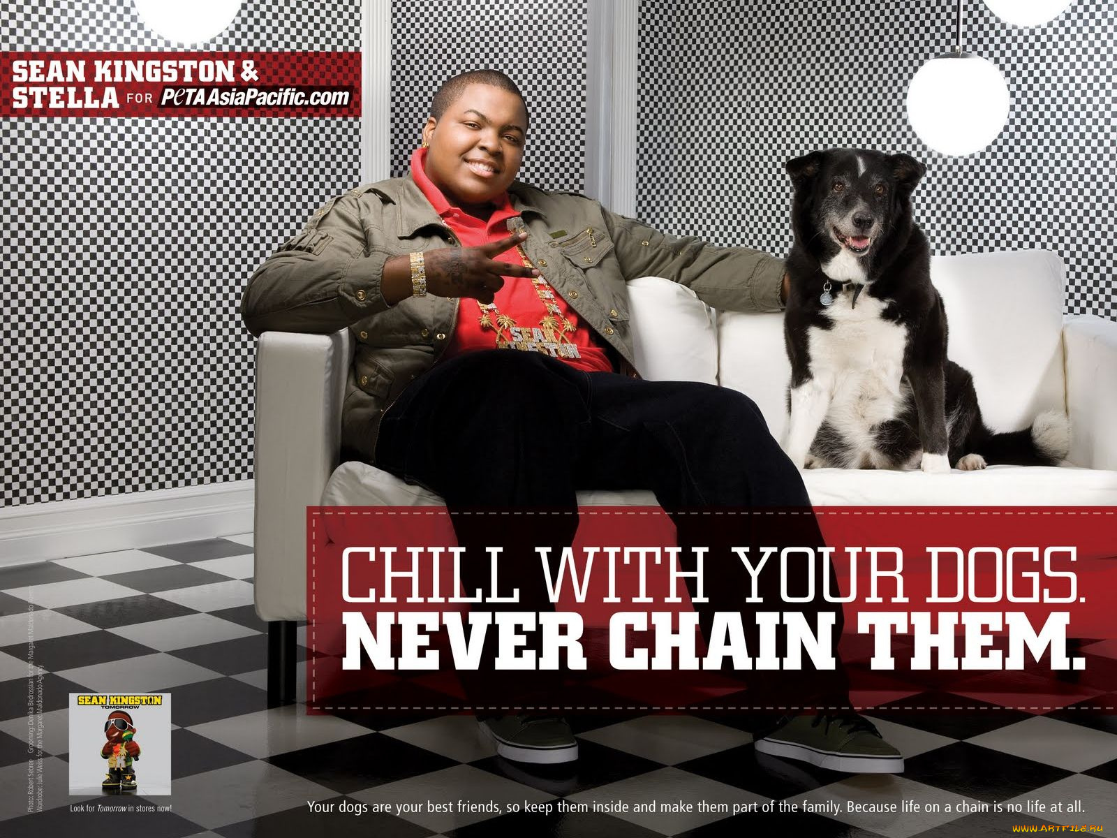 бренды, peta, people, for, the, ethical, treatment, of, animals, sean, kingston