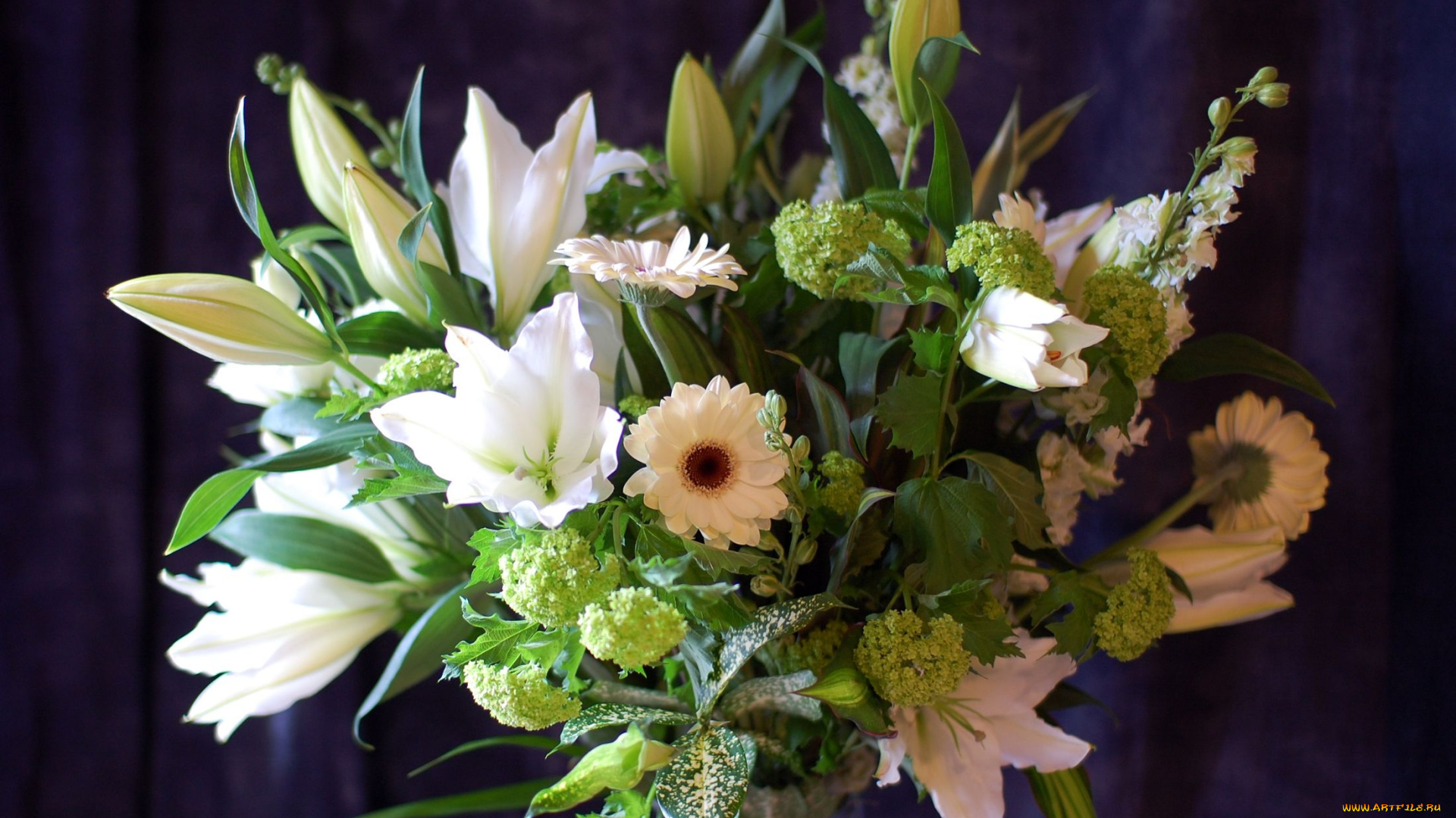 цветы, букеты, композиции, лилии, герберы, гортензия