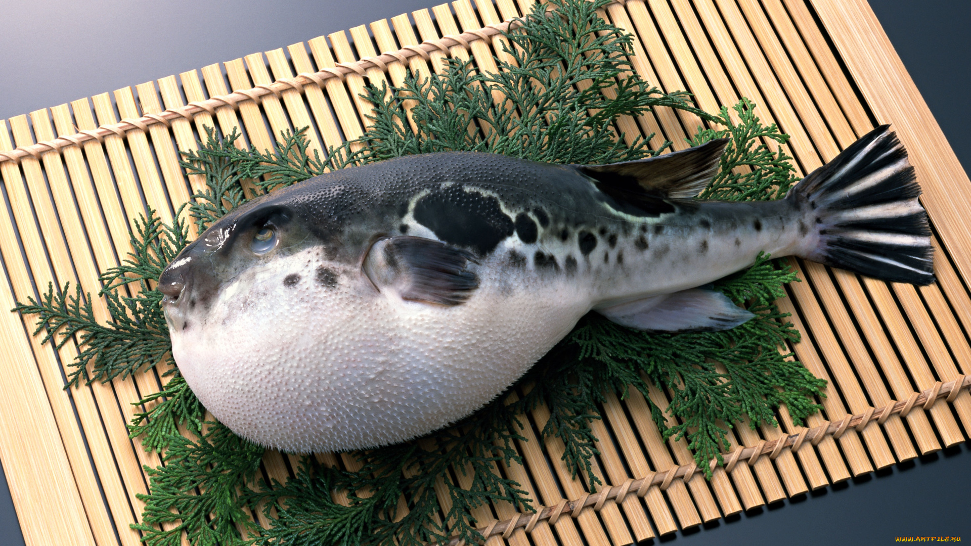 еда, рыба, морепродукты, суши, роллы