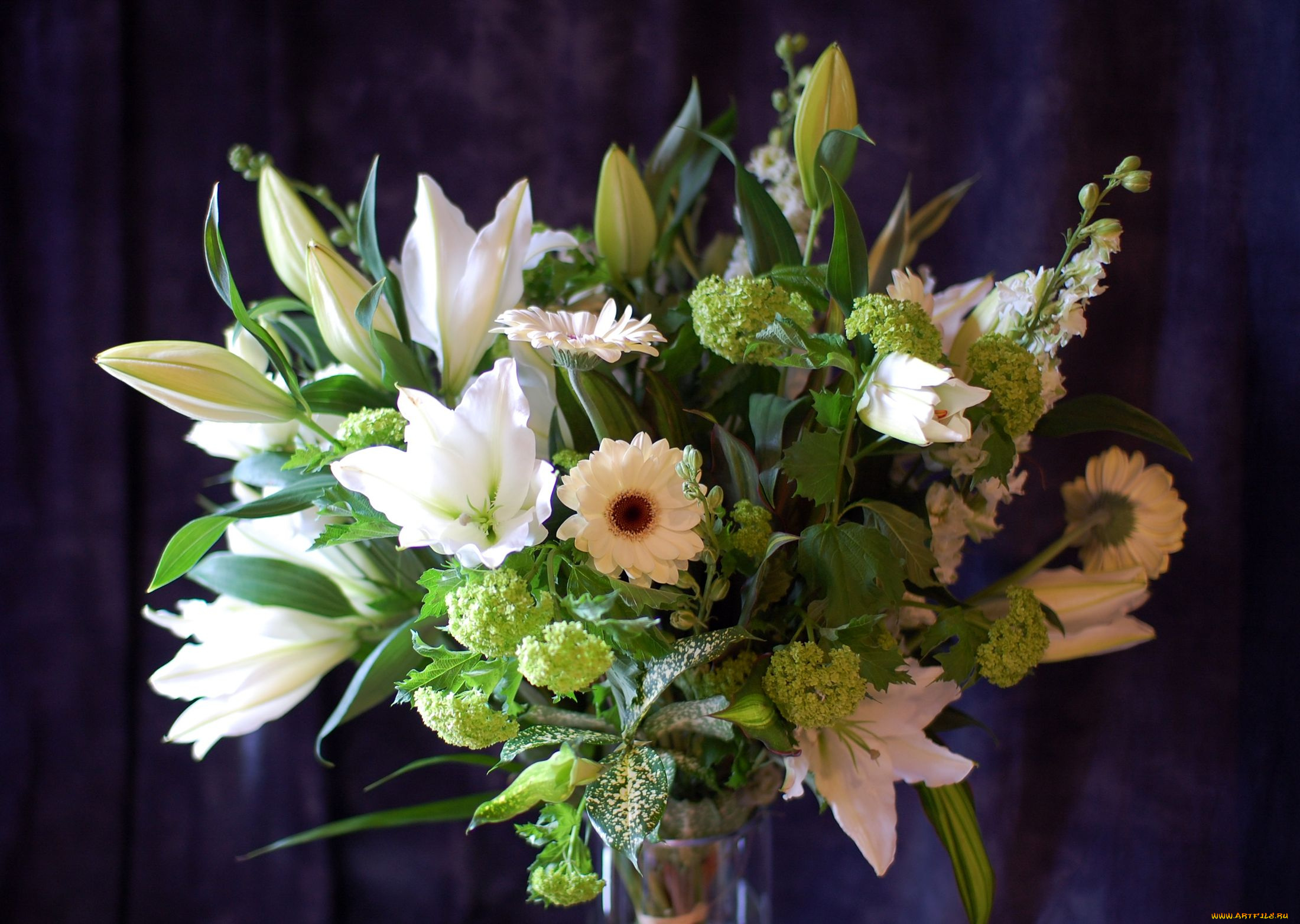 цветы, букеты, композиции, лилии, герберы, гортензия