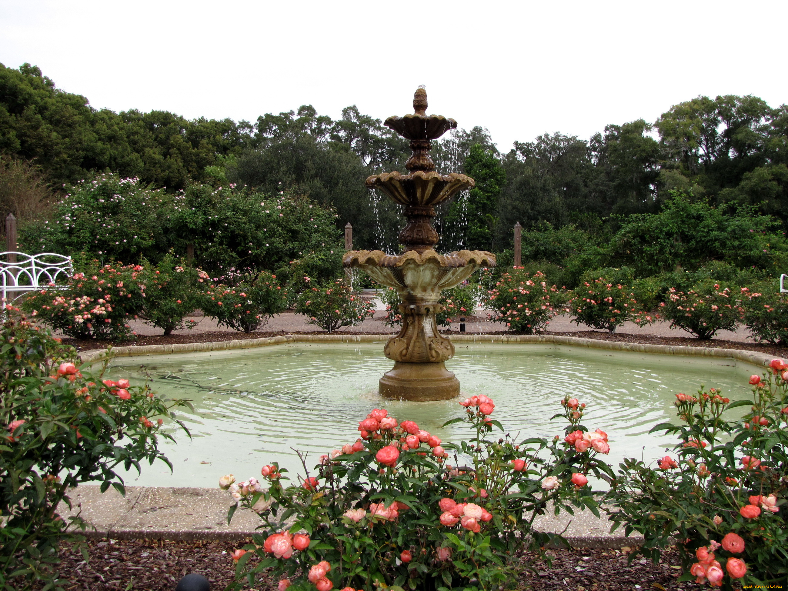 города, фонтаны, фонтан