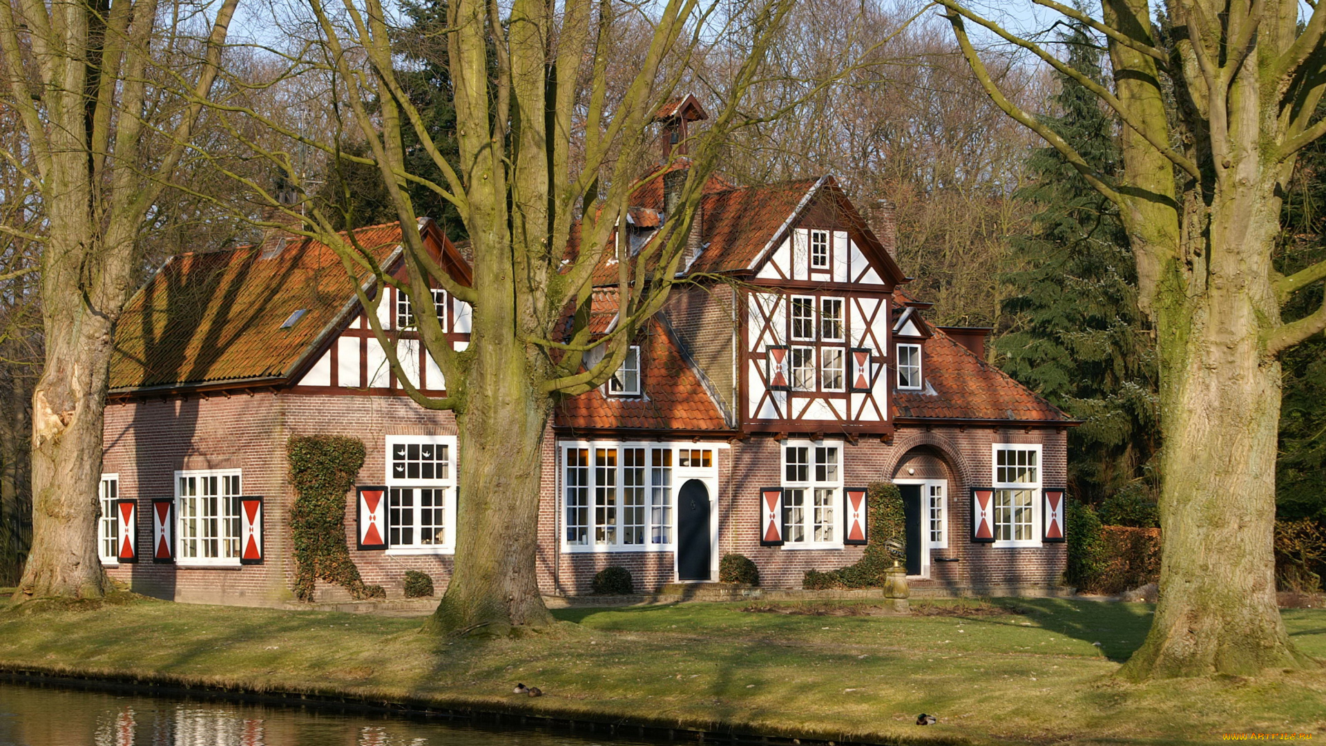 города, здания, дома, дом, лес, река