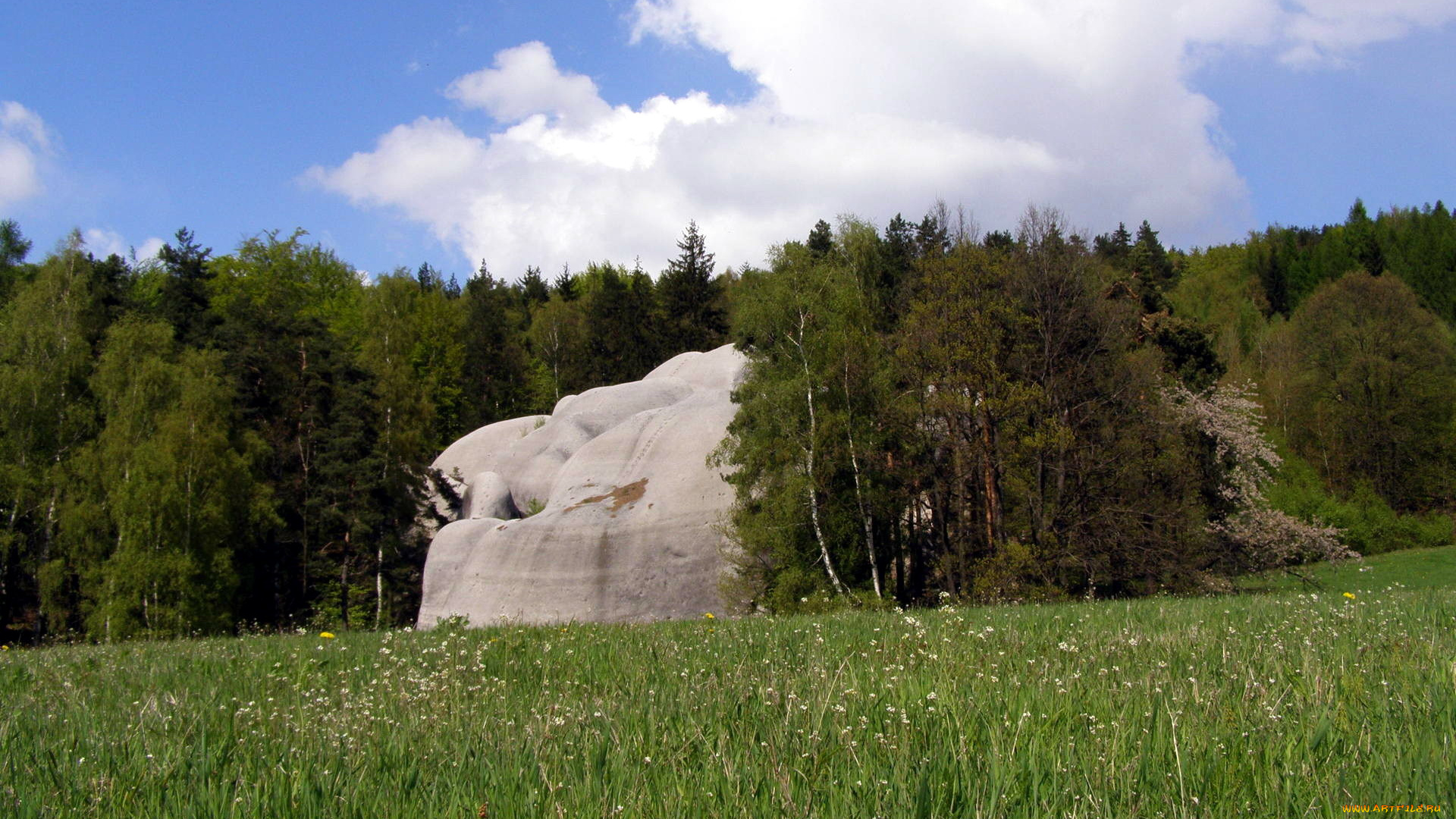 природа, луга, луг, деревья, камень, одуванчики