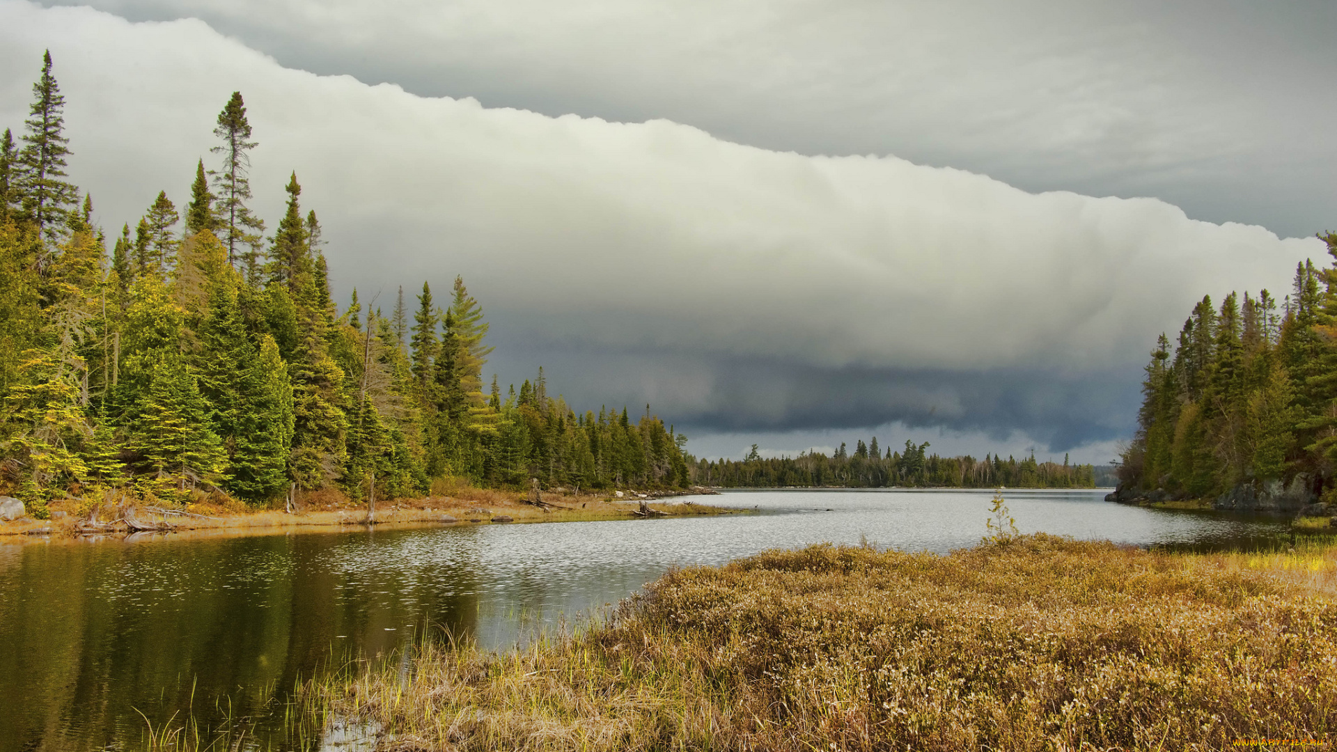 природа, реки, озера, деревья, тучи, лес, река