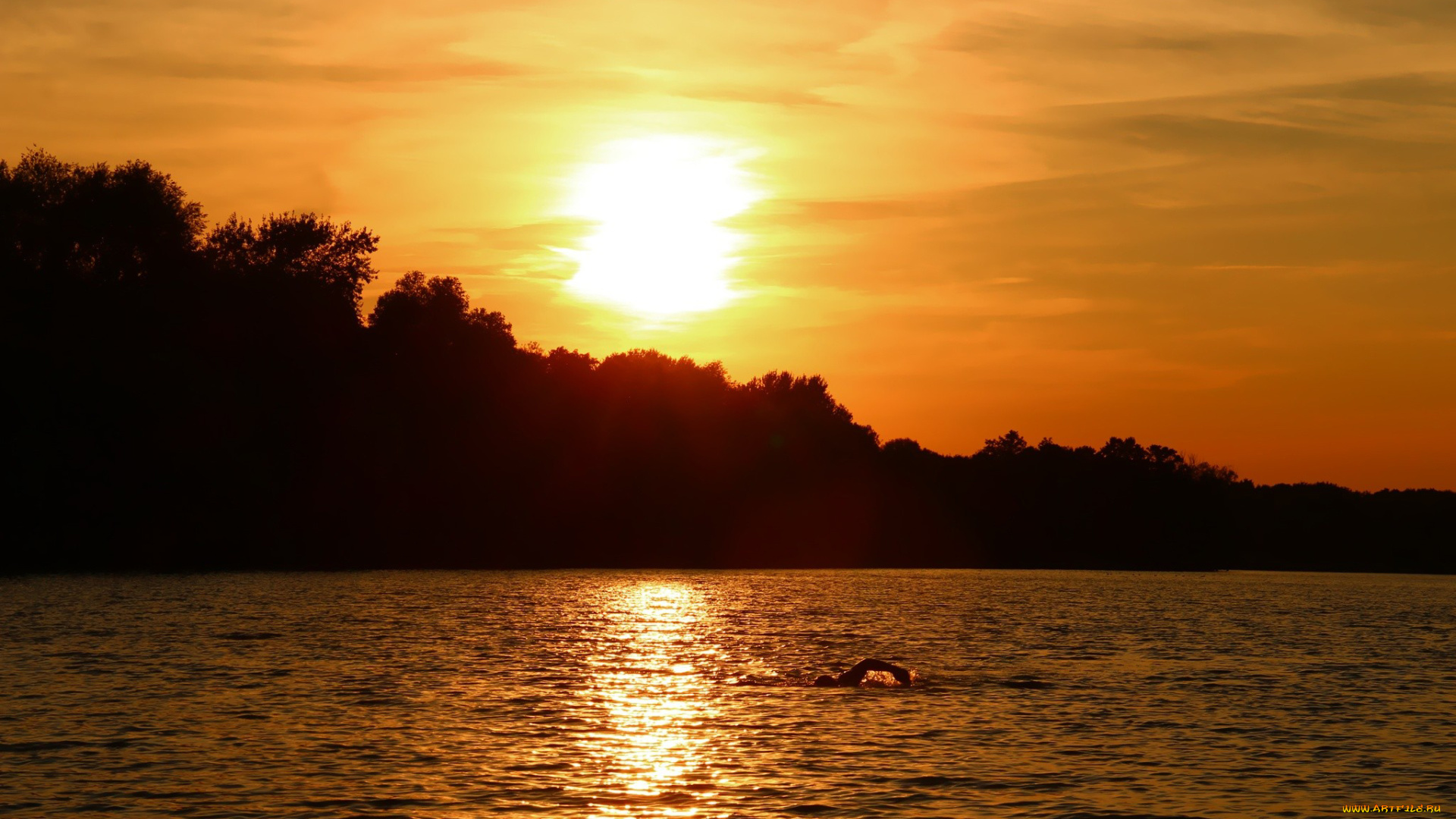 природа, восходы, закаты, деревья, пловец, озеро