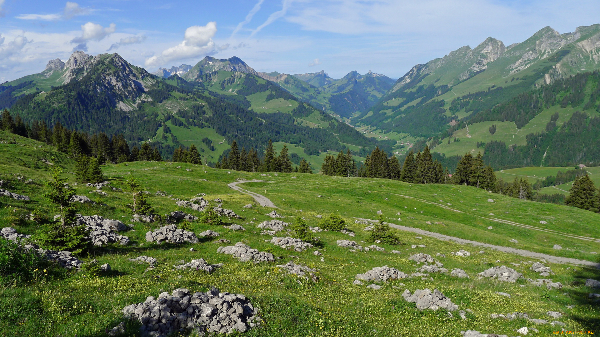 rieneschli, switzerland, природа, горы, трава