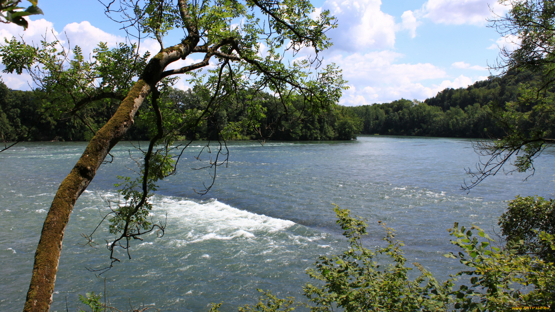швейцария, ритайм, рейн, природа, реки, озера, деревья, река