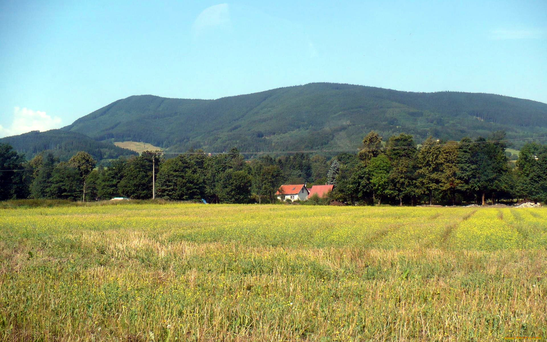 природа, луга, деревня, луг, гора