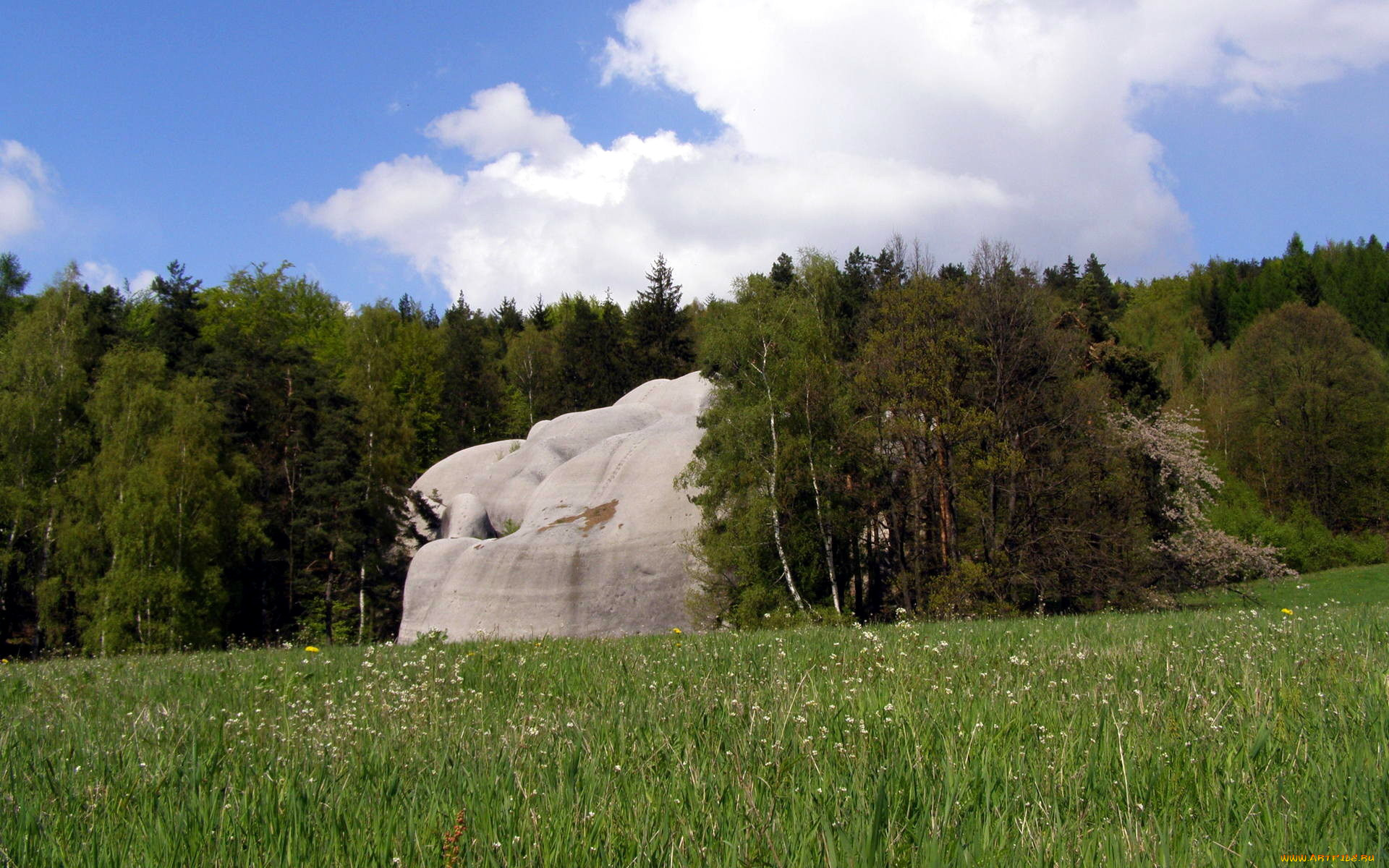природа, луга, луг, деревья, камень, одуванчики