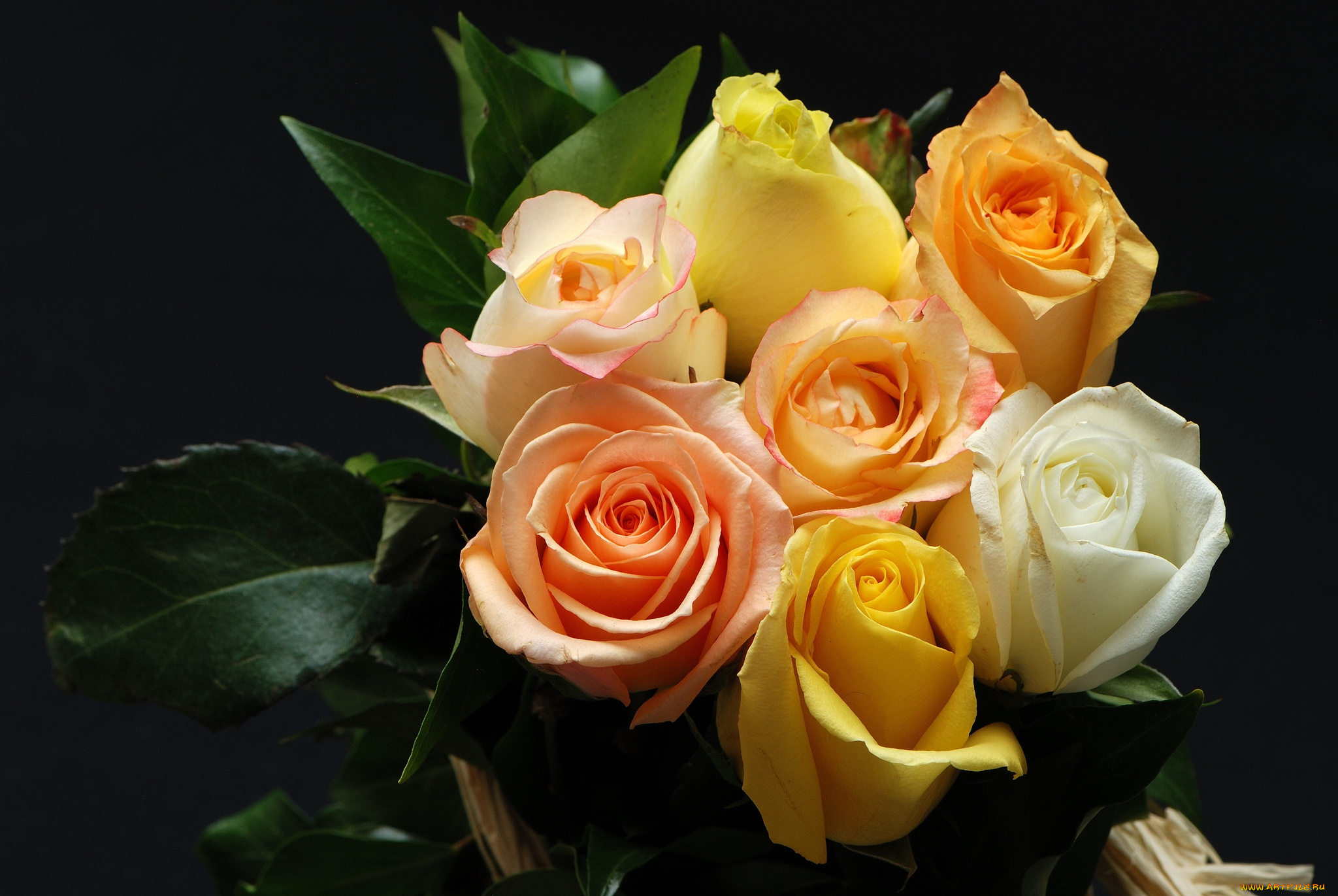 цветы, розы, букет