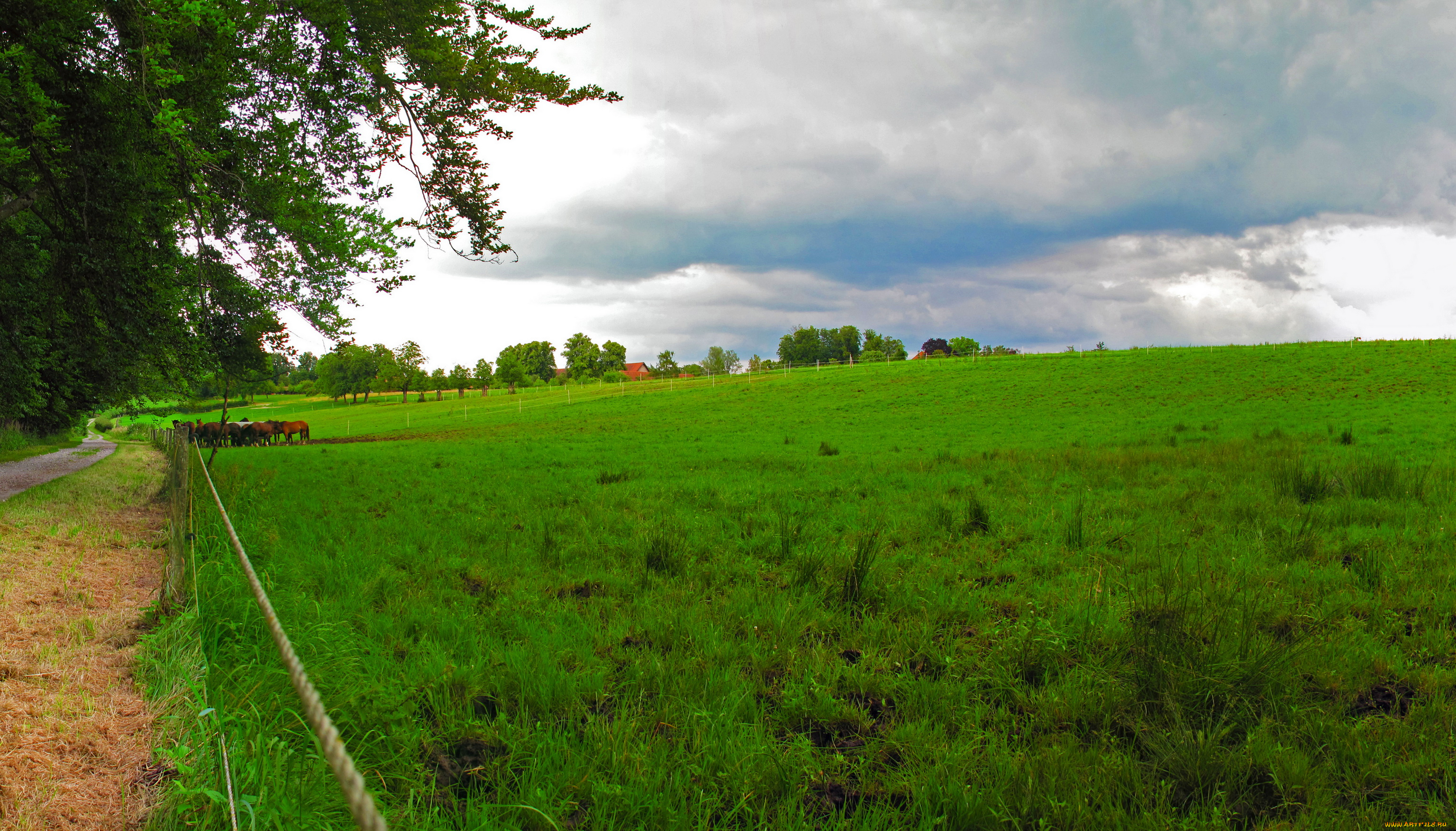 германия, бавария, кимзе, природа, поля, пейзаж